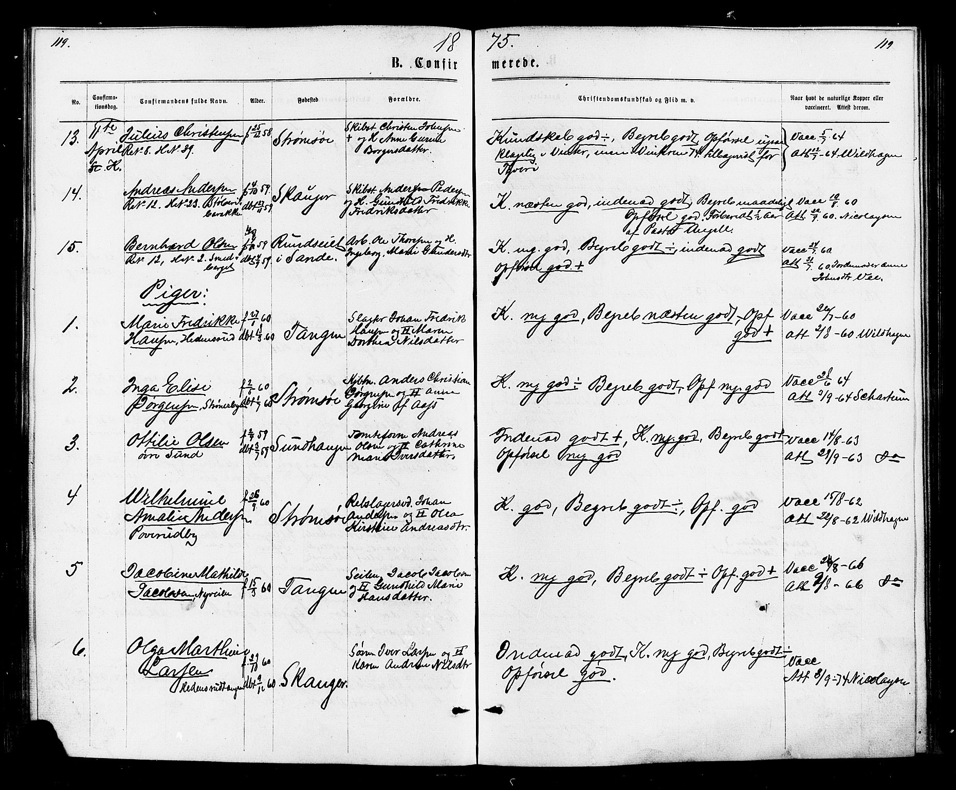 Strømsø kirkebøker, AV/SAKO-A-246/F/Fa/L0020: Ministerialbok nr. I 20, 1870-1878, s. 119