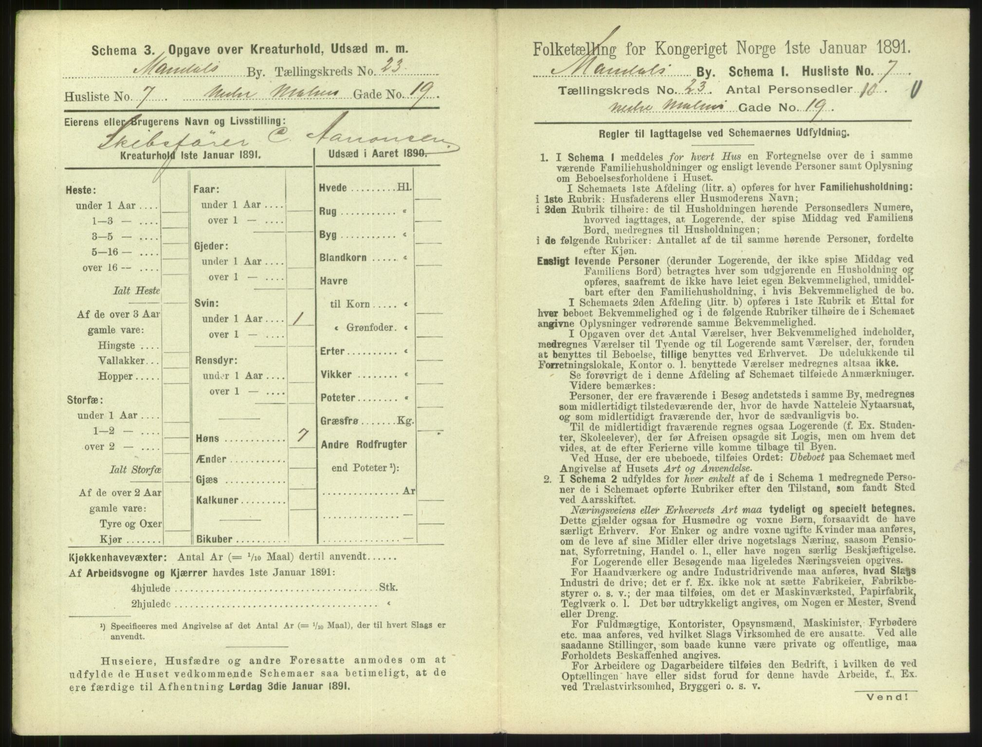 RA, Folketelling 1891 for 1002 Mandal ladested, 1891, s. 1029