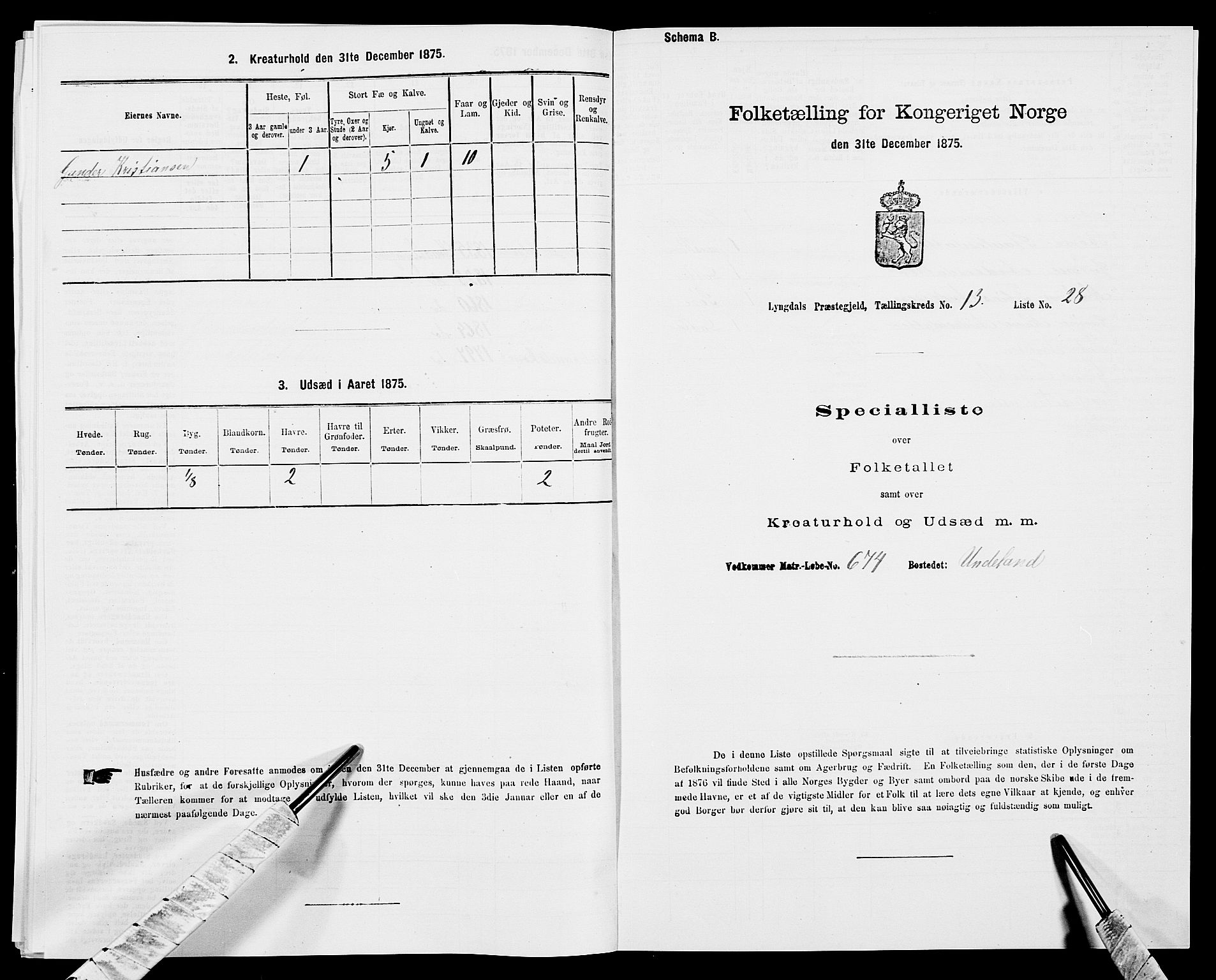 SAK, Folketelling 1875 for 1032P Lyngdal prestegjeld, 1875, s. 2011