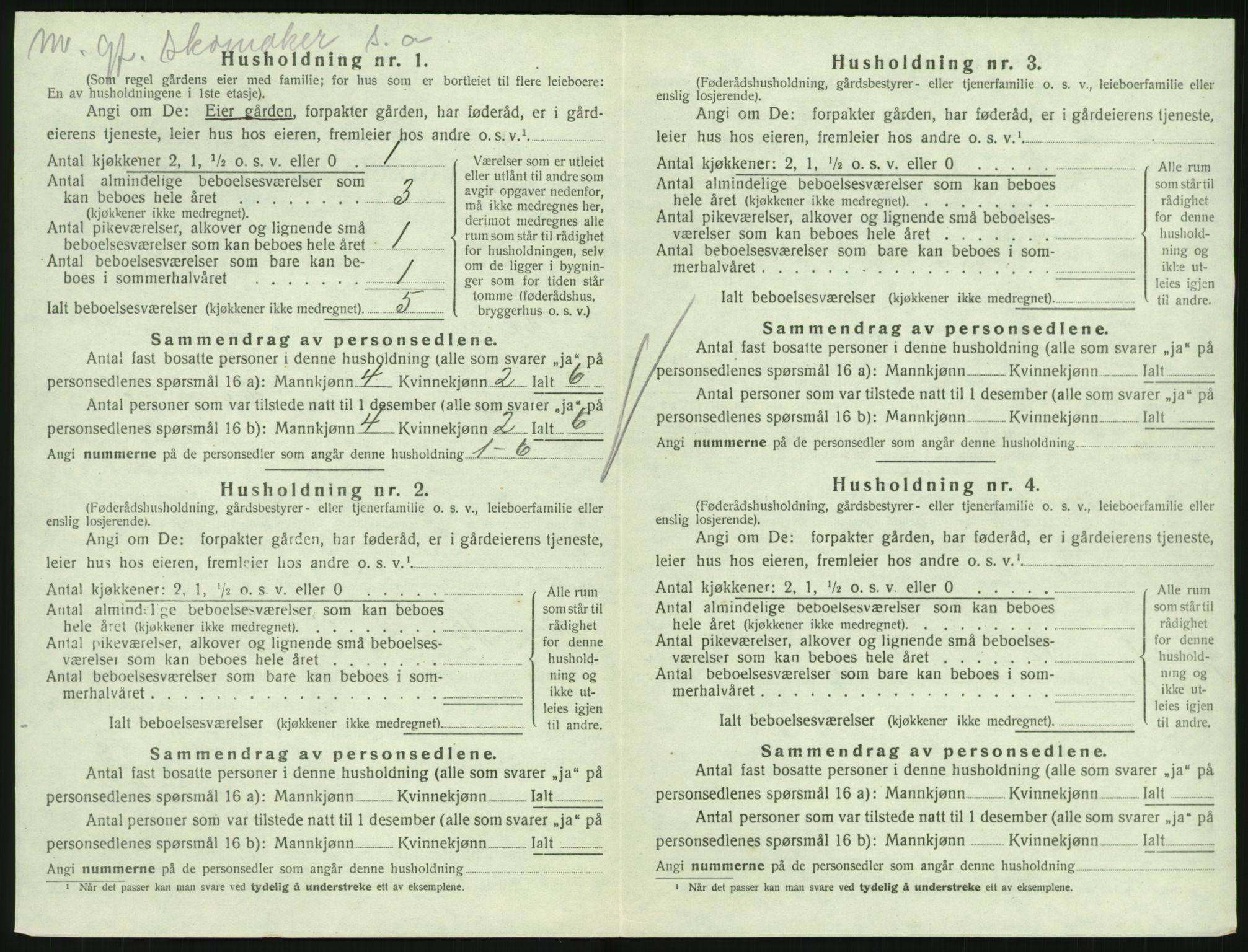 SAKO, Folketelling 1920 for 0727 Hedrum herred, 1920, s. 1010