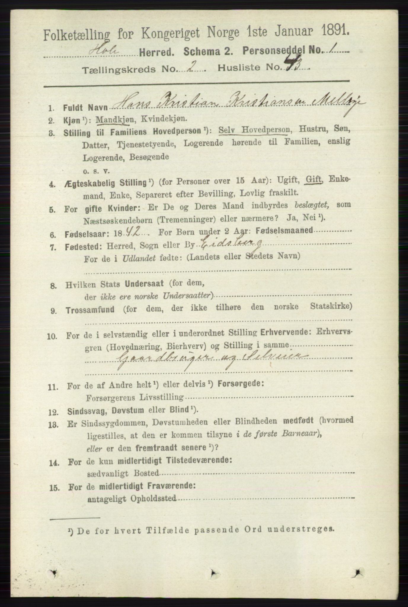 RA, Folketelling 1891 for 0612 Hole herred, 1891, s. 939