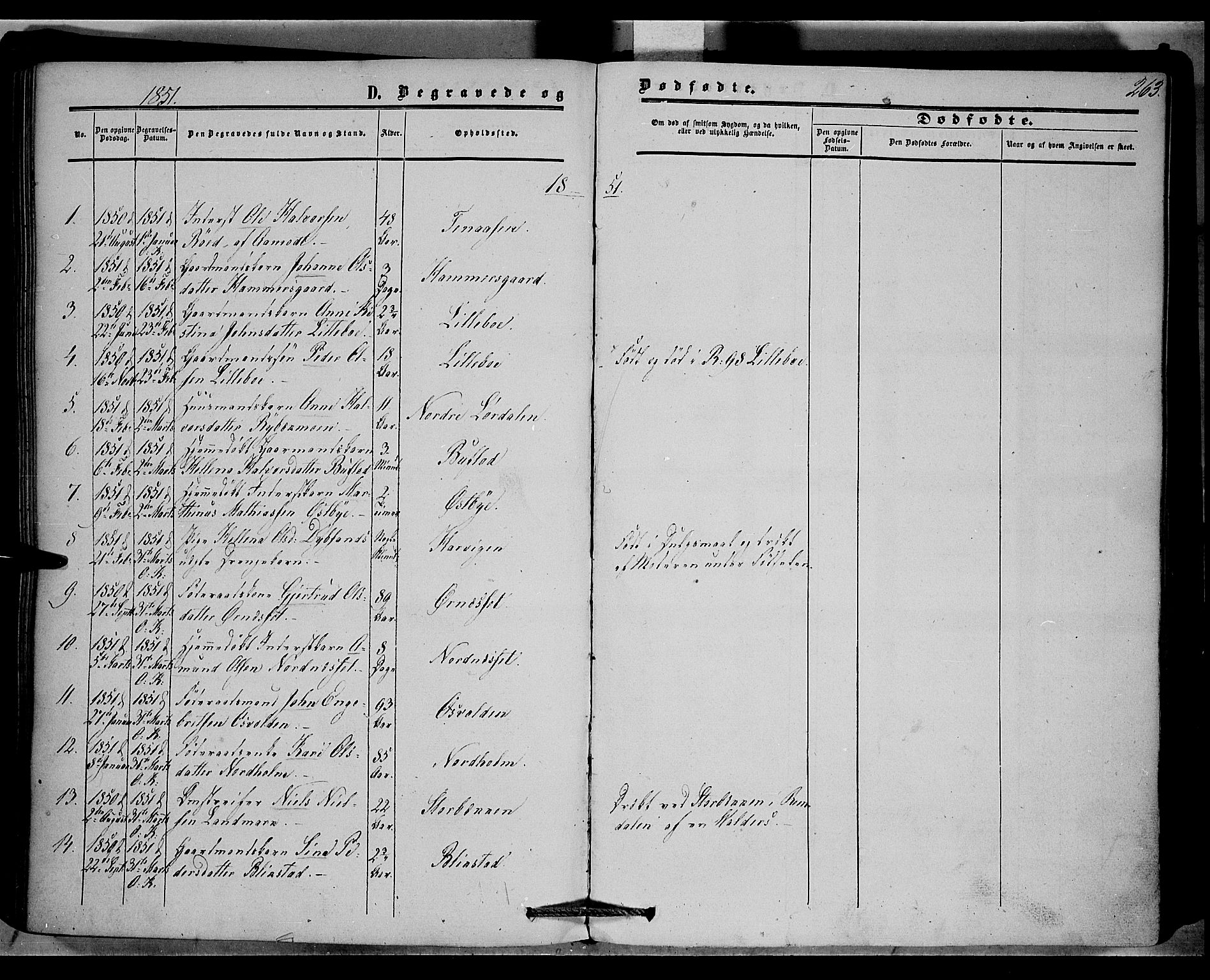 Trysil prestekontor, AV/SAH-PREST-046/H/Ha/Haa/L0005: Ministerialbok nr. 5, 1851-1865, s. 263