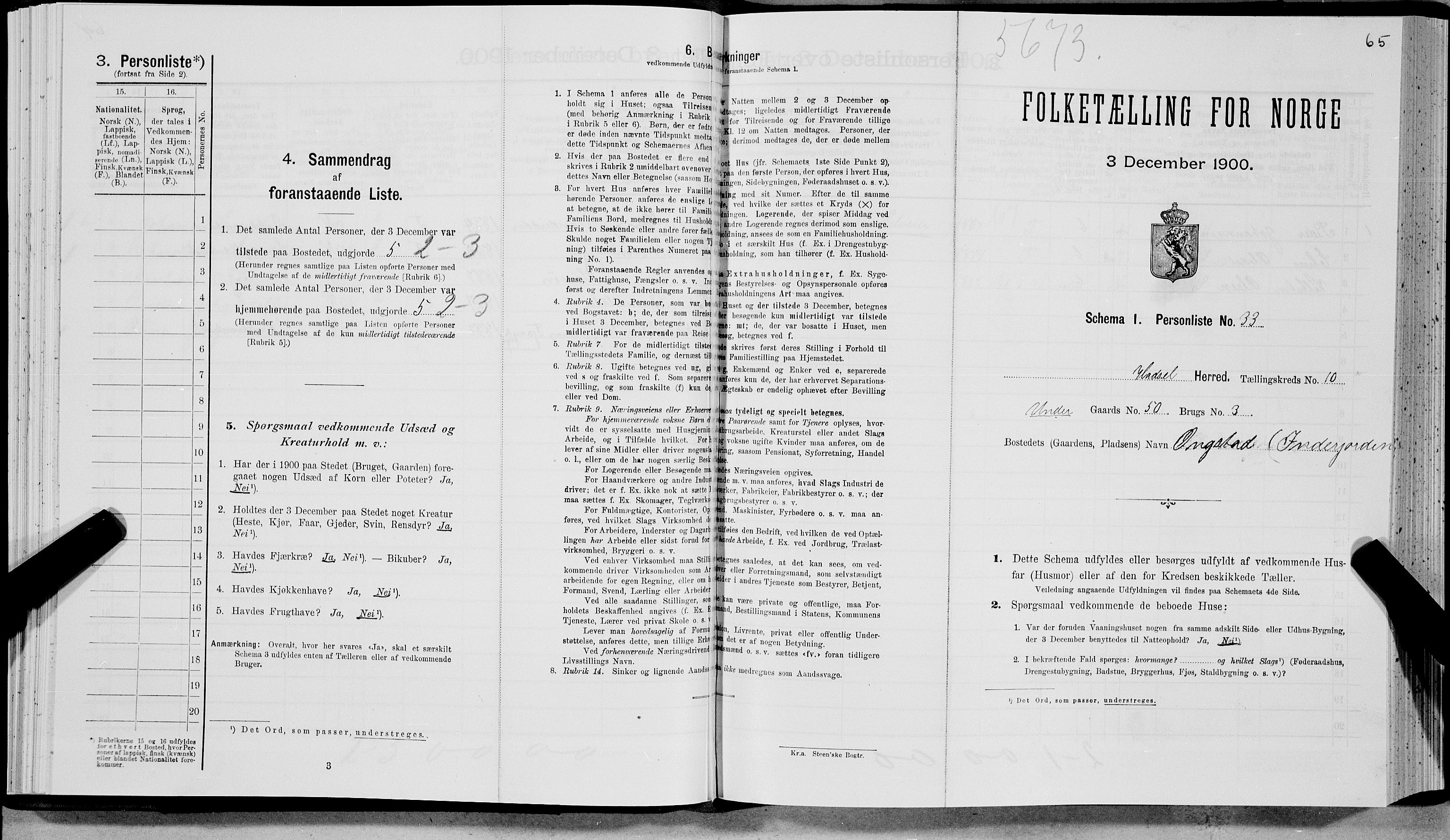 SAT, Folketelling 1900 for 1866 Hadsel herred, 1900, s. 875