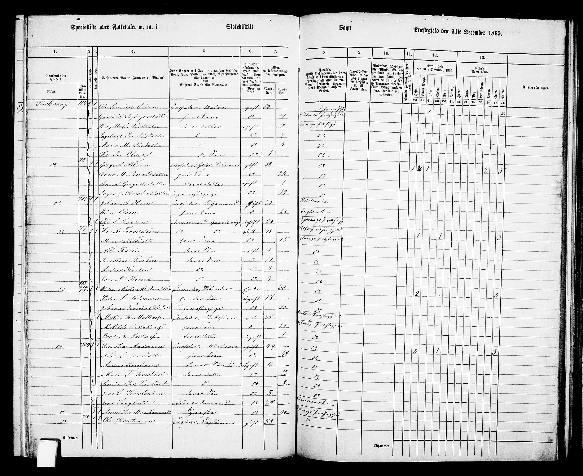 RA, Folketelling 1865 for 0915P Dypvåg prestegjeld, 1865, s. 101