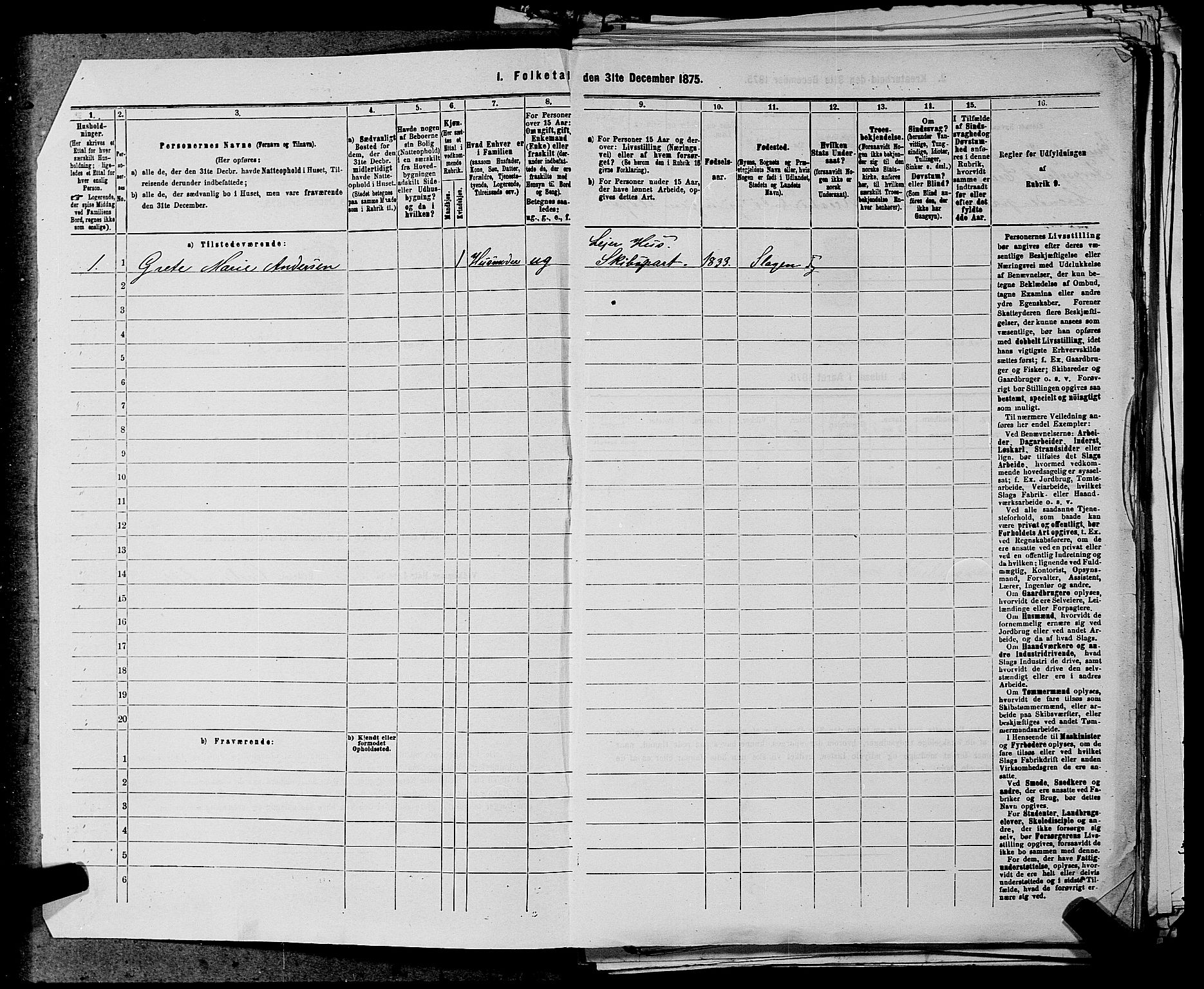 SAKO, Folketelling 1875 for 0721P Sem prestegjeld, 1875, s. 1134