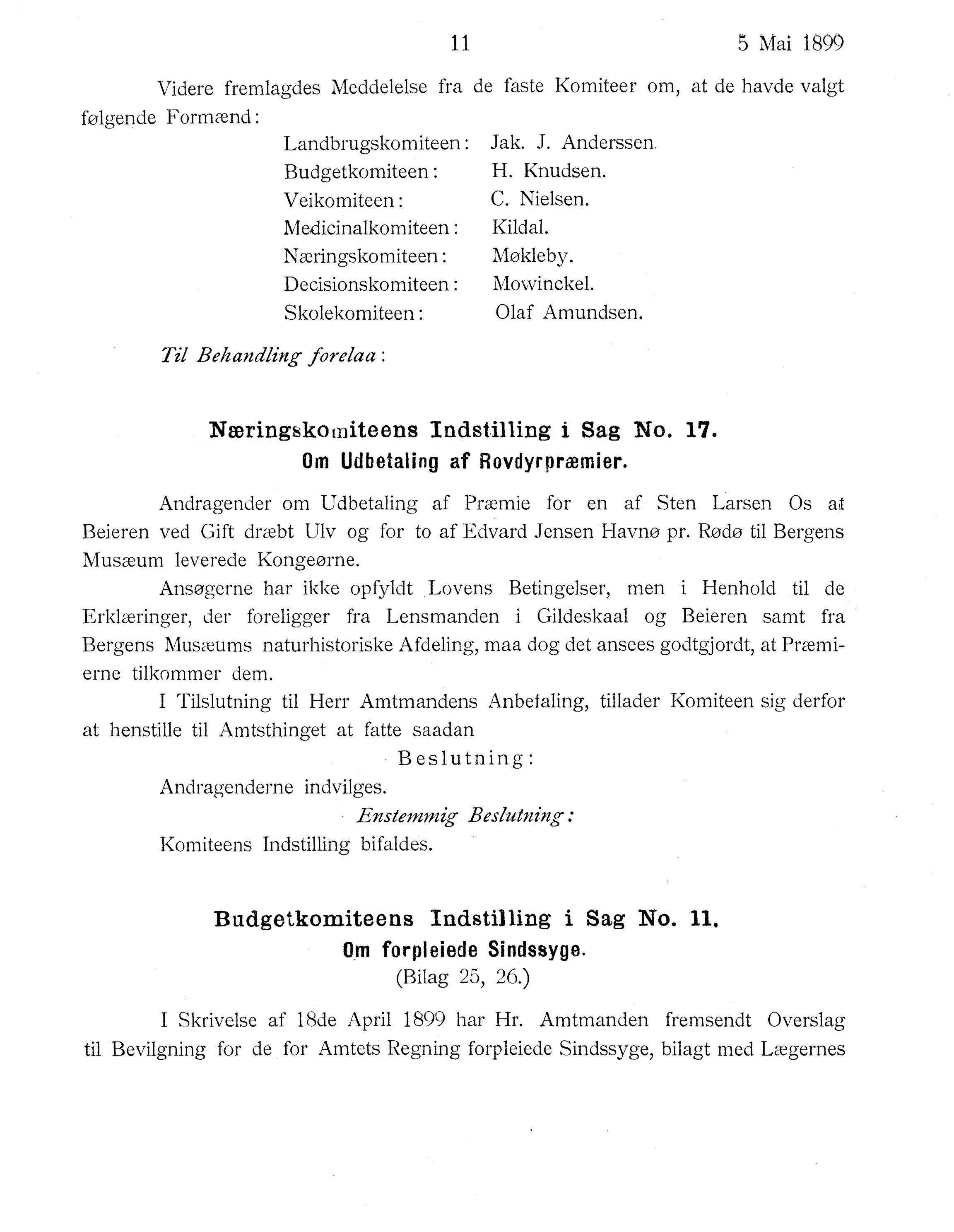 Nordland Fylkeskommune. Fylkestinget, AIN/NFK-17/176/A/Ac/L0022: Fylkestingsforhandlinger 1899, 1899