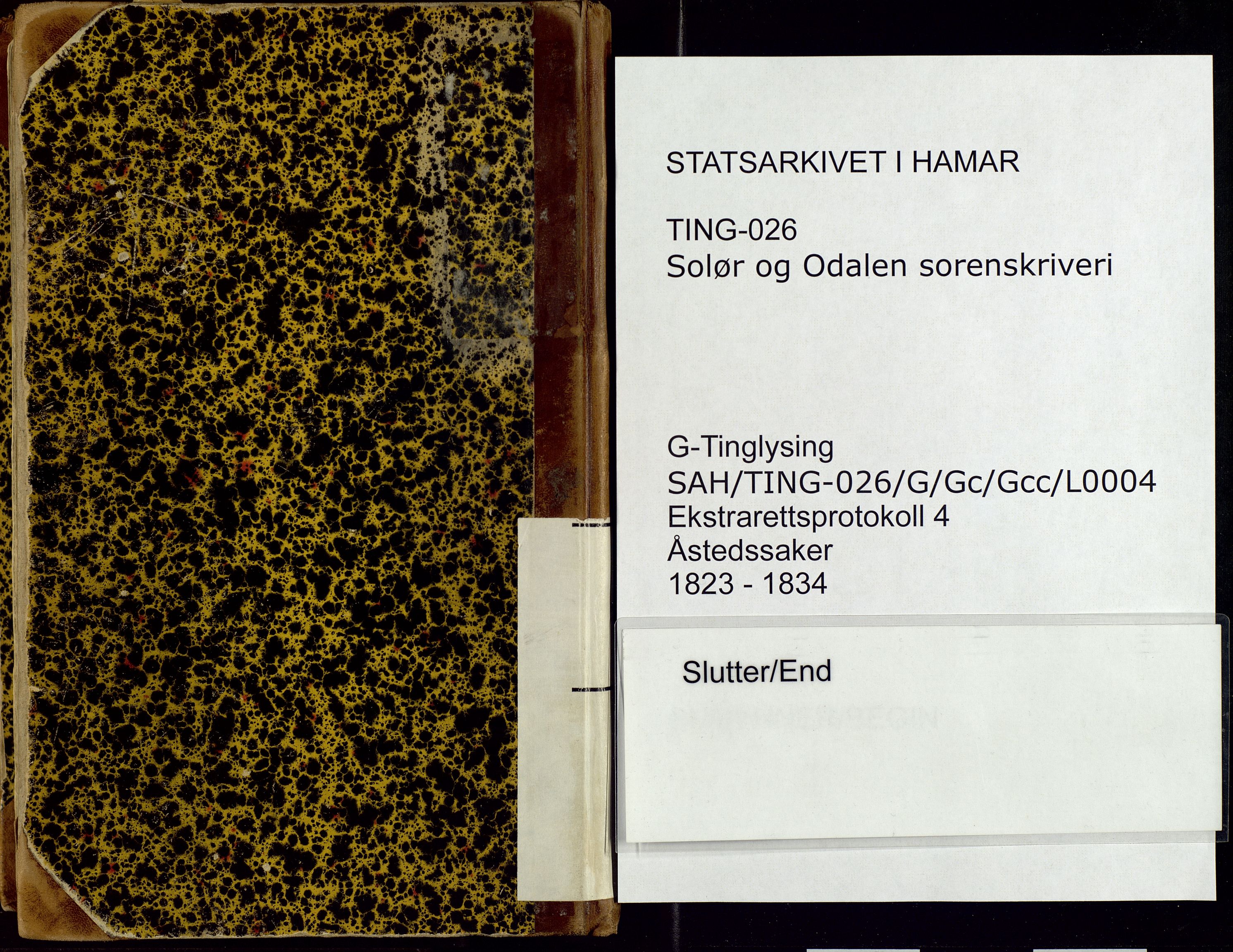 Solør og Odalen sorenskriveri, SAH/TING-026/G/Gc/Gcc/L0004: Åstedsprotokoll, 1823-1834