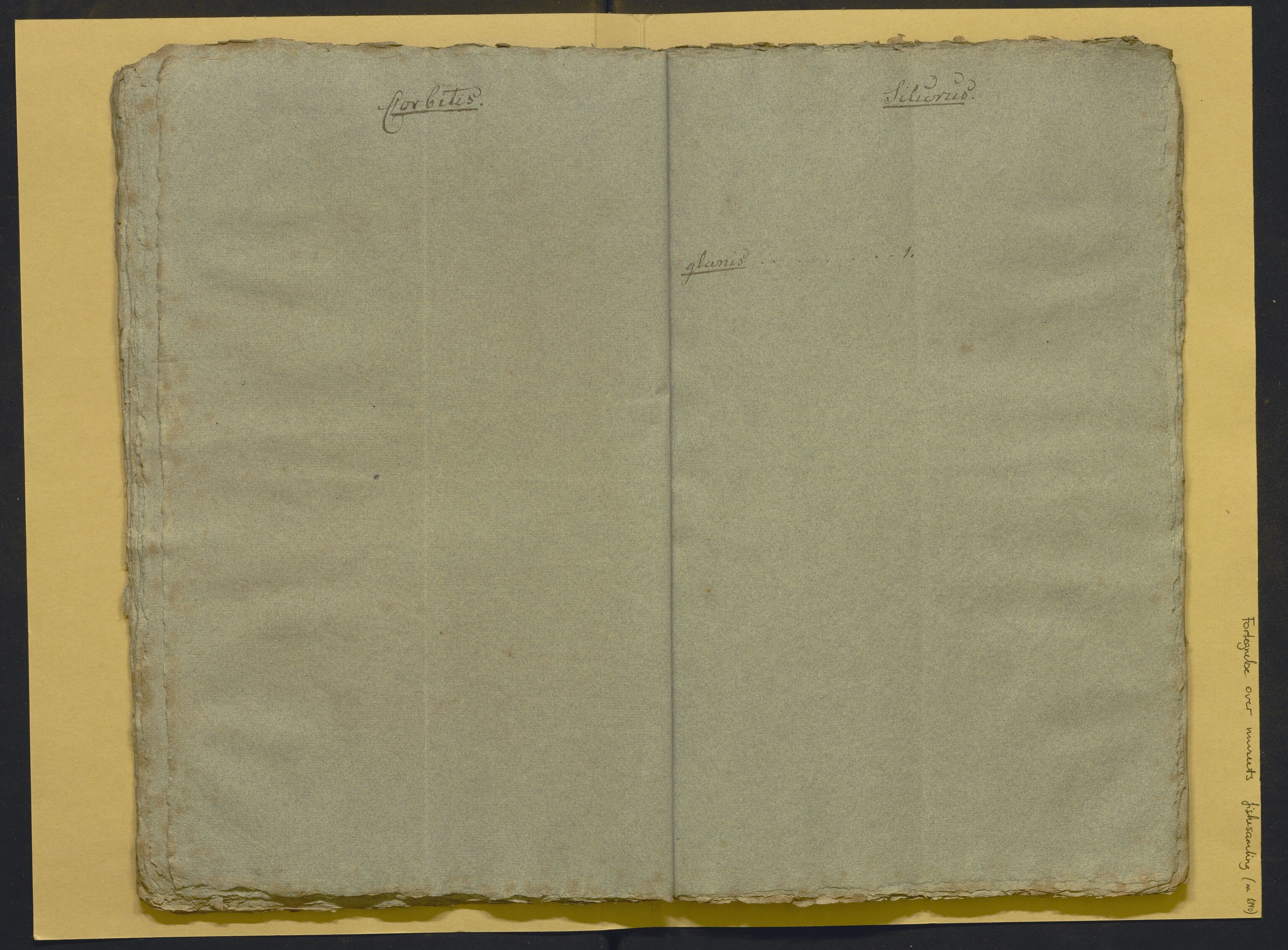 Bergens Museum, AV/SAB-A-17301/02/F/L0001: Kataloger over gjenstander og pergamentbrev , 1825-1880, s. 510