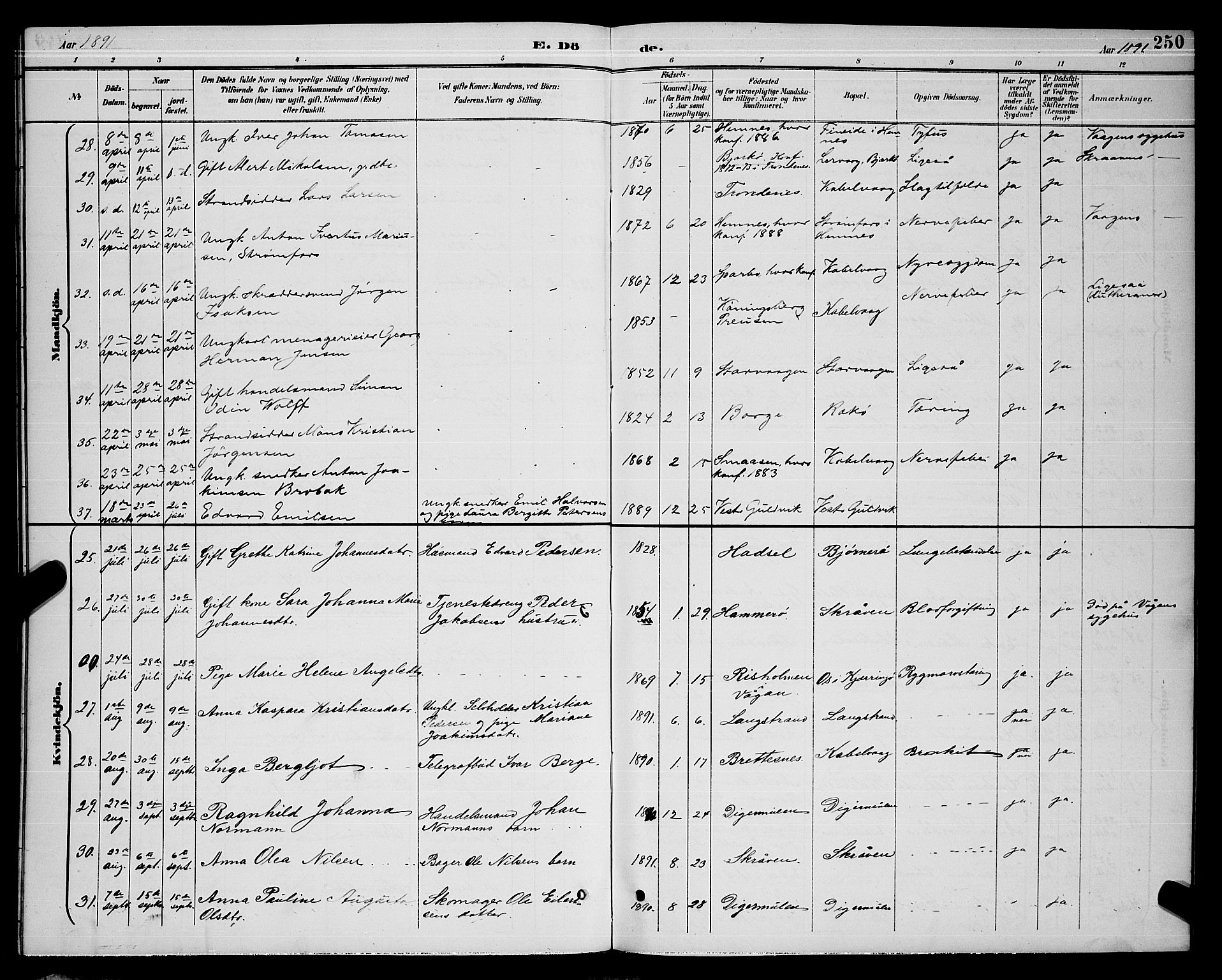 Ministerialprotokoller, klokkerbøker og fødselsregistre - Nordland, AV/SAT-A-1459/874/L1077: Klokkerbok nr. 874C06, 1891-1900, s. 250