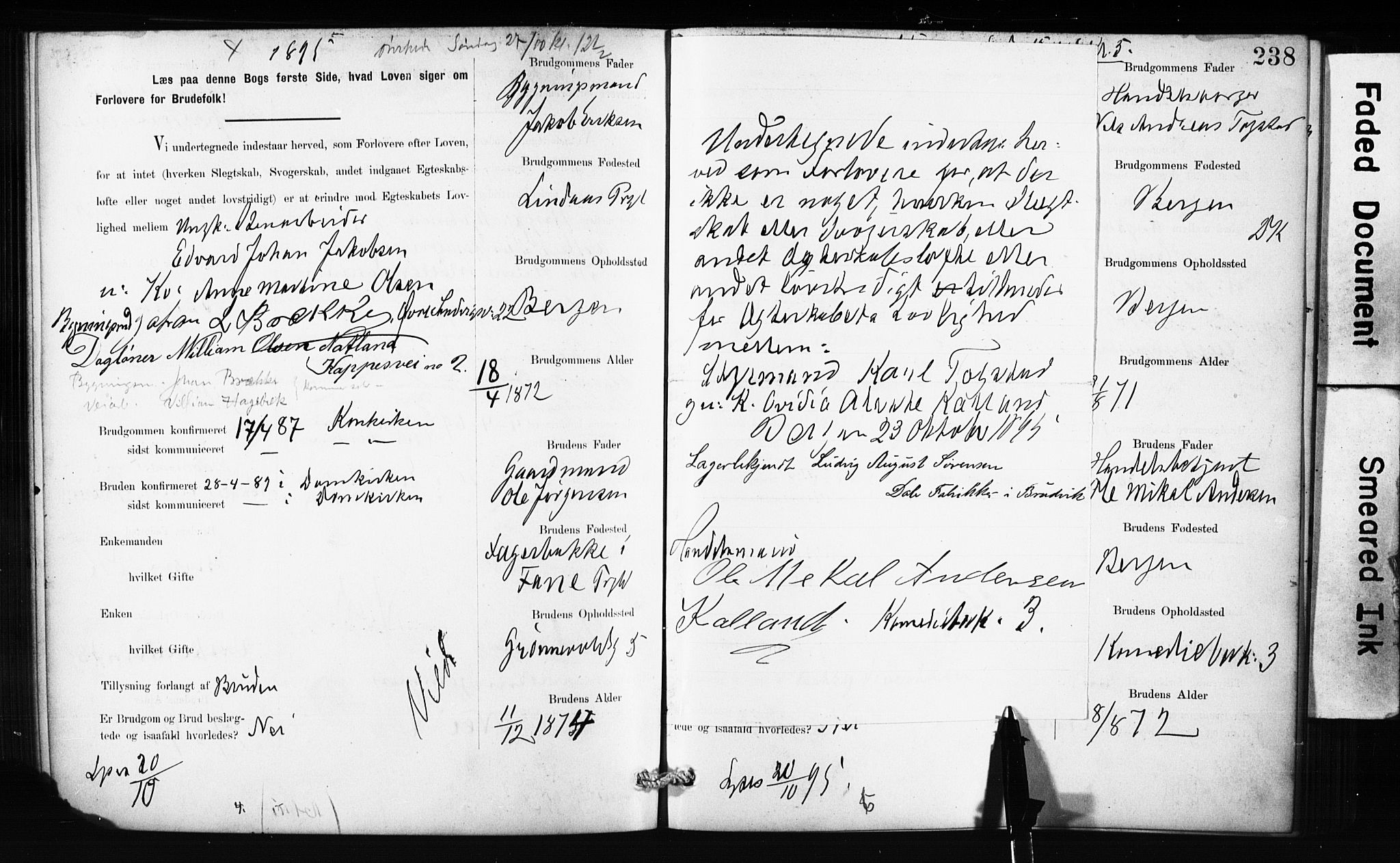 Domkirken sokneprestembete, SAB/A-74801: Forlovererklæringer nr. II.5.10, 1890-1899, s. 238