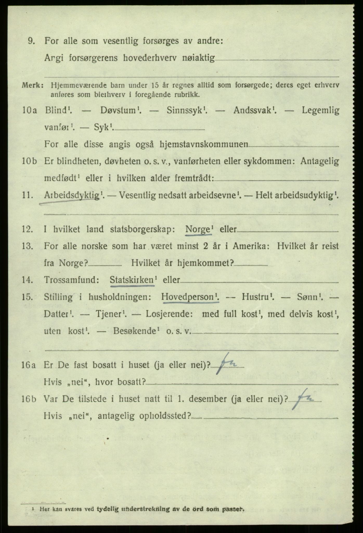 SAB, Folketelling 1920 for 1422 Lærdal herred, 1920, s. 1313