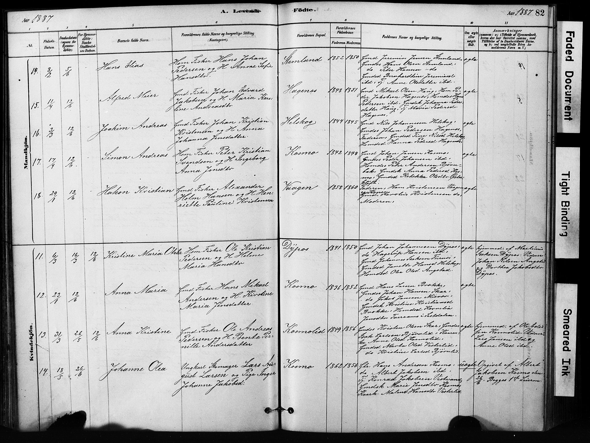 Ministerialprotokoller, klokkerbøker og fødselsregistre - Nordland, AV/SAT-A-1459/852/L0754: Klokkerbok nr. 852C05, 1878-1894, s. 82