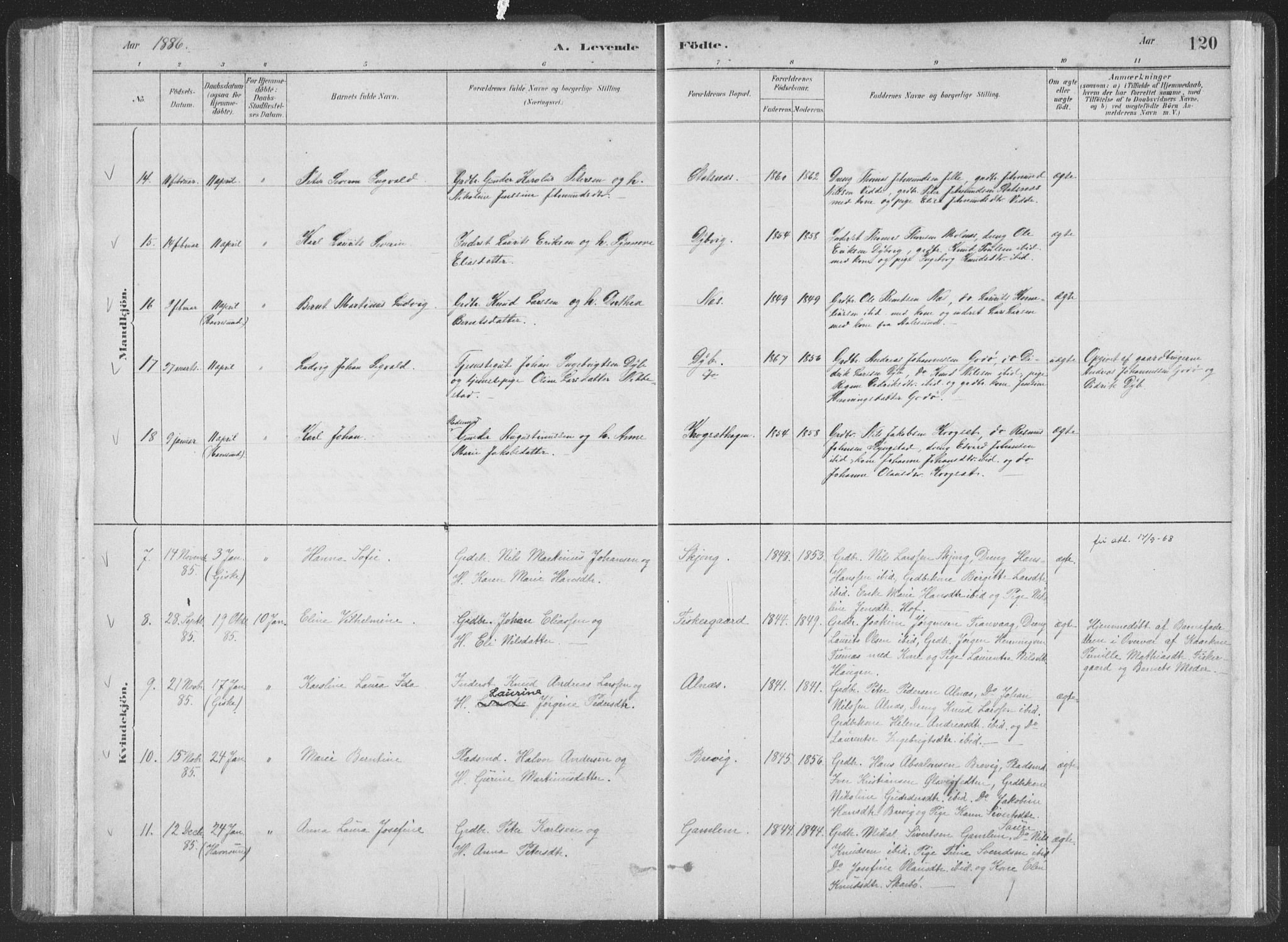 Ministerialprotokoller, klokkerbøker og fødselsregistre - Møre og Romsdal, AV/SAT-A-1454/528/L0401: Ministerialbok nr. 528A12I, 1880-1920, s. 120