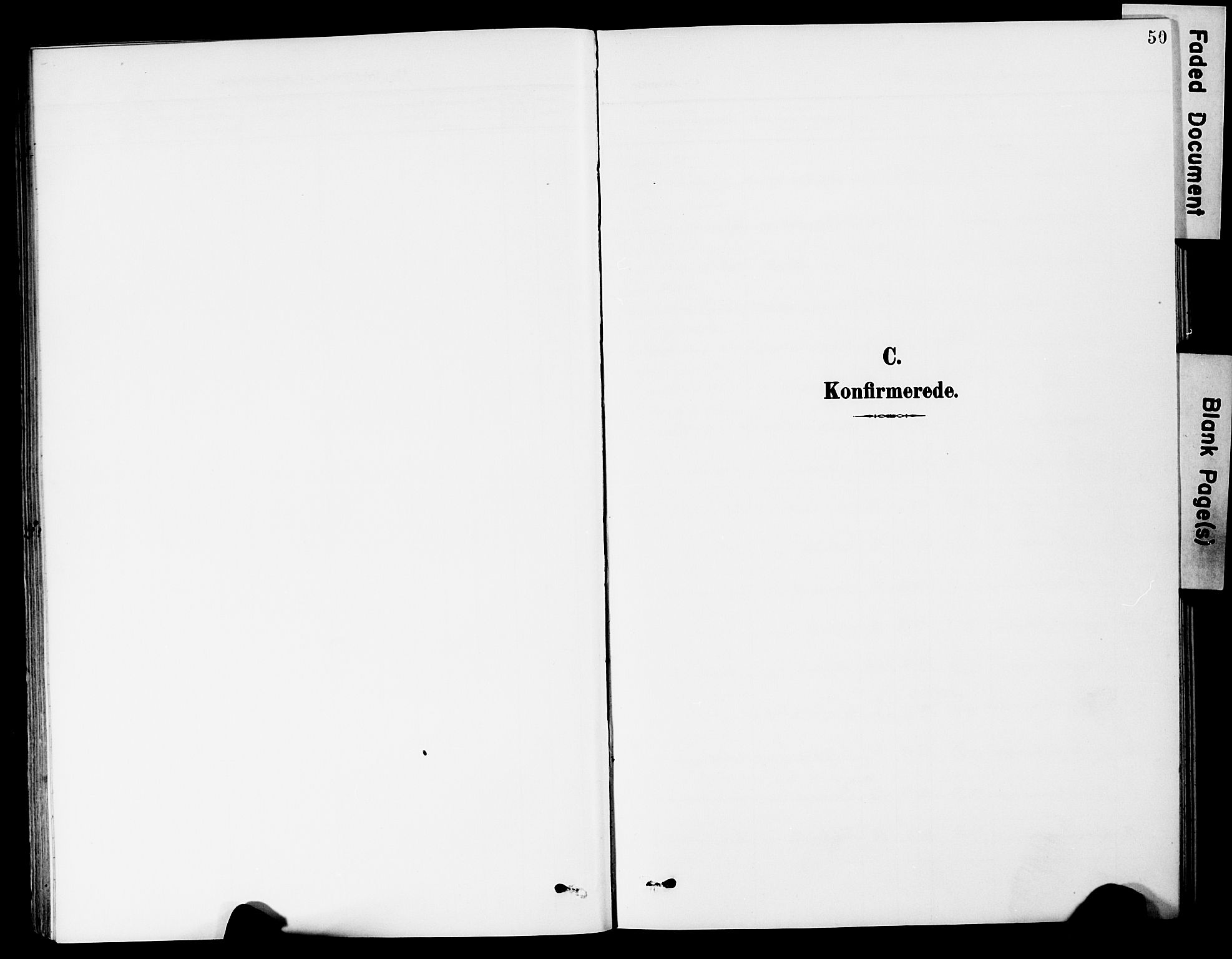 Sør-Odal prestekontor, SAH/PREST-030/H/Ha/Hab/L0001: Klokkerbok nr. 1, 1895-1902, s. 50