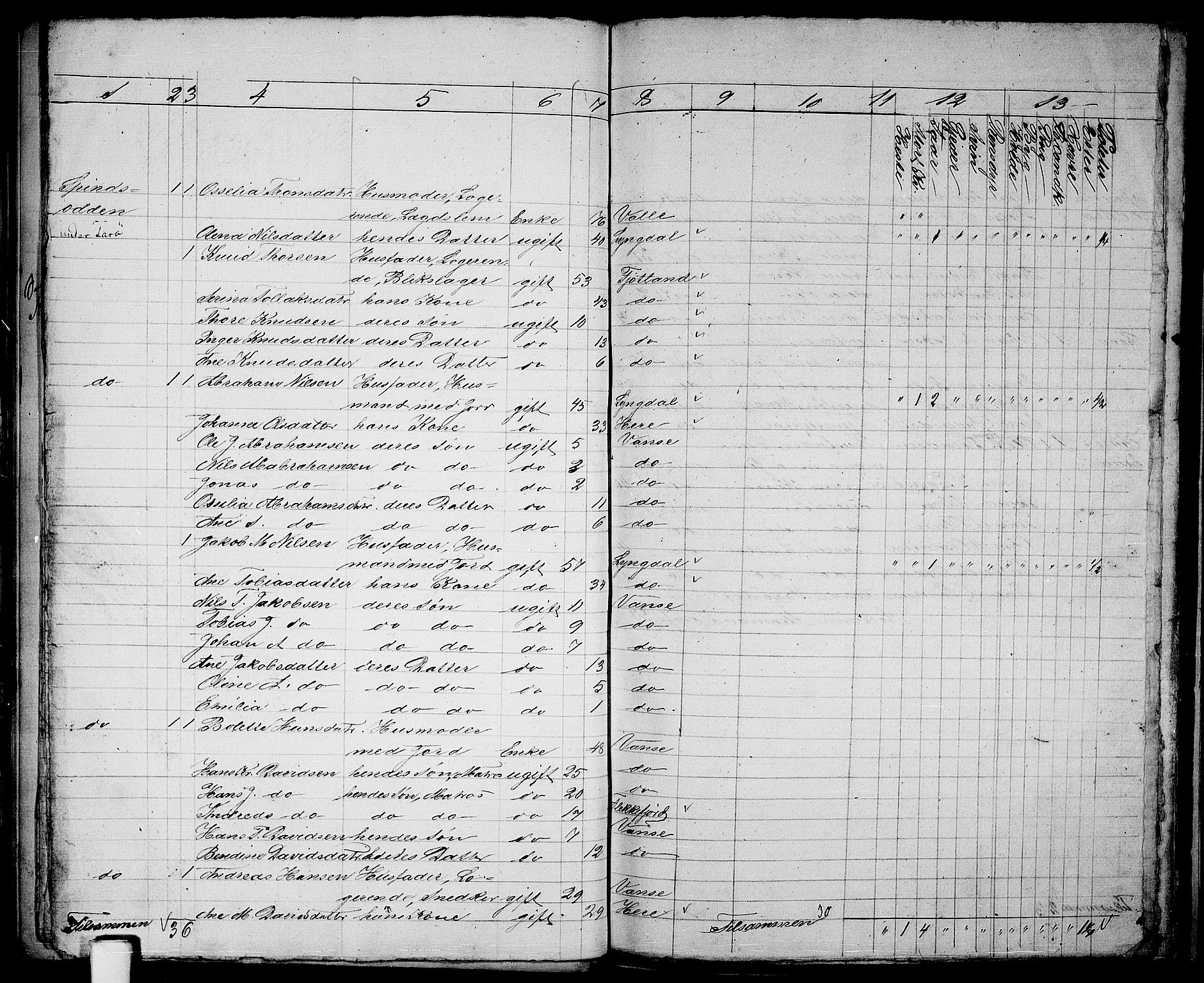 RA, Folketelling 1865 for 1041L Vanse prestegjeld, Vanse sokn og Farsund landsokn, 1865, s. 49