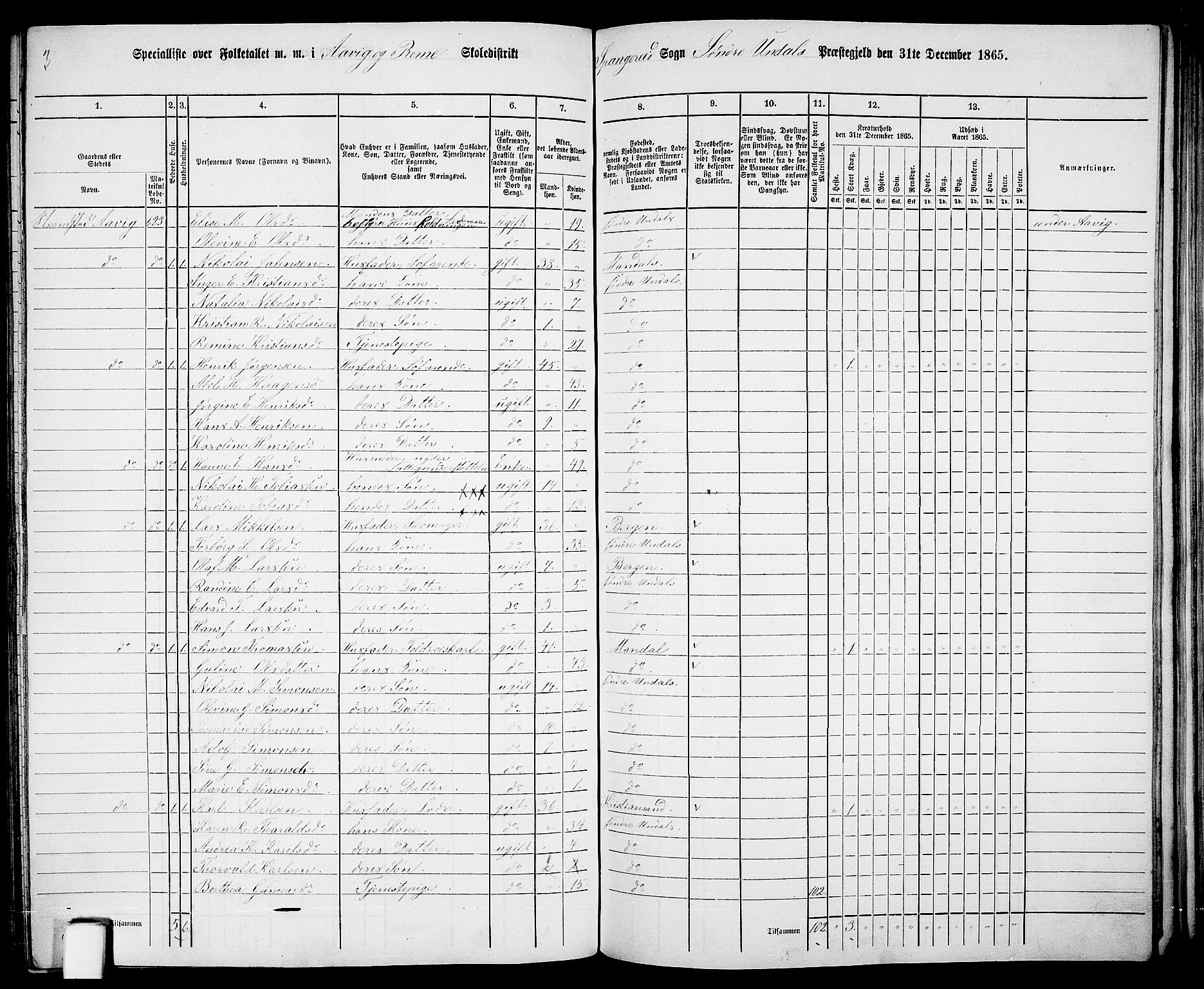 RA, Folketelling 1865 for 1029P Sør-Audnedal prestegjeld, 1865, s. 142