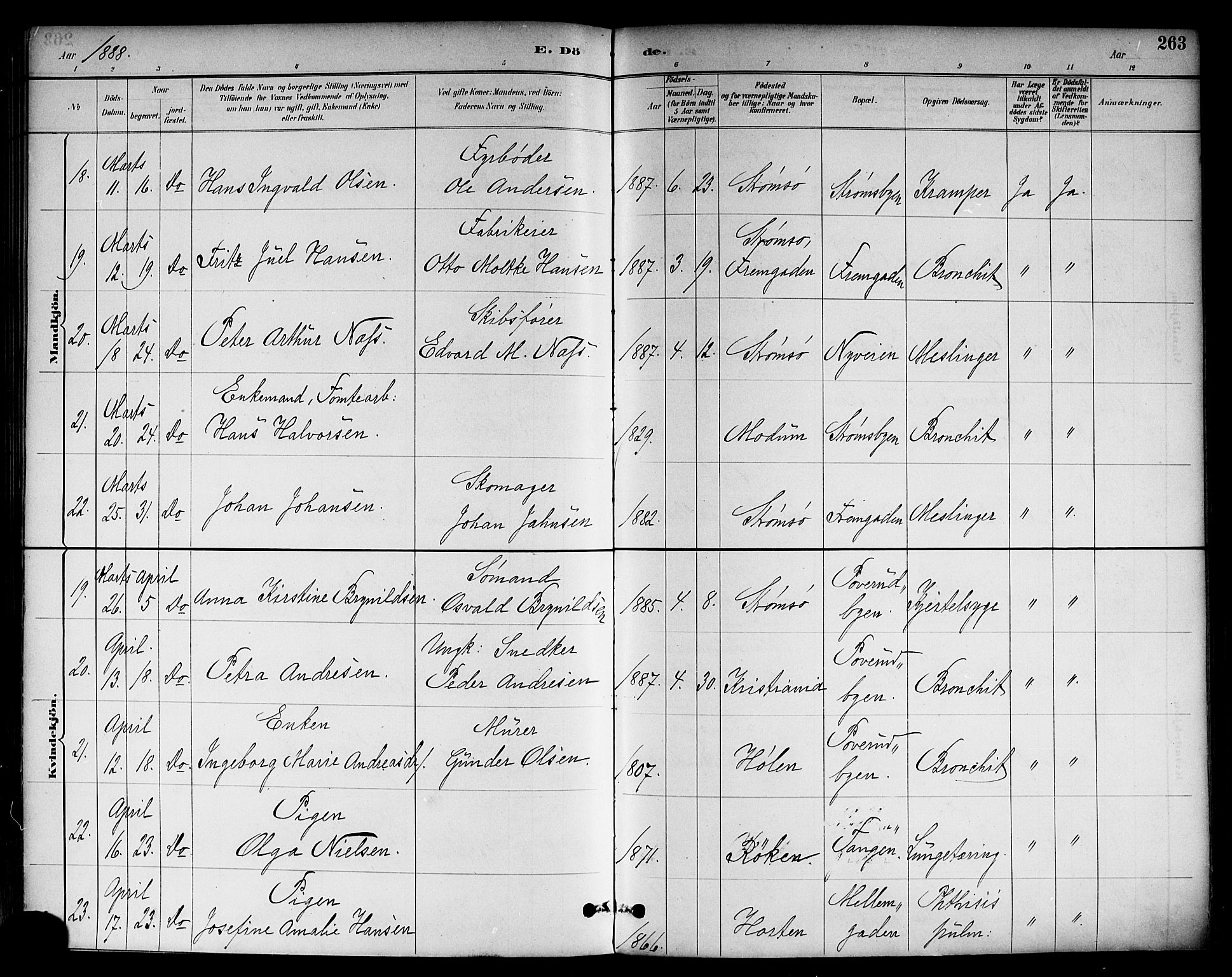 Strømsø kirkebøker, AV/SAKO-A-246/F/Fa/L0023: Ministerialbok nr. I 23, 1885-1894, s. 263