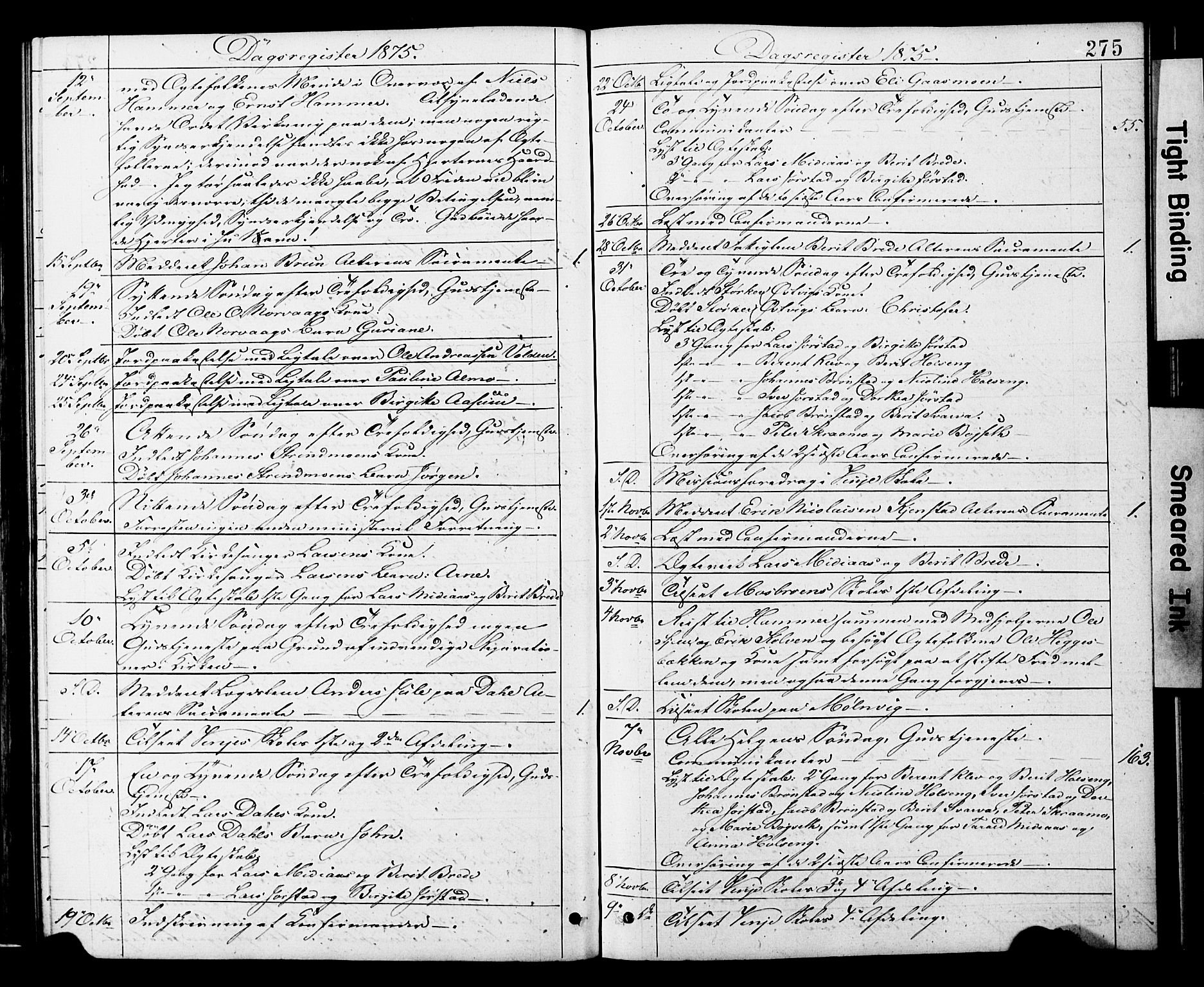 Ministerialprotokoller, klokkerbøker og fødselsregistre - Nord-Trøndelag, AV/SAT-A-1458/749/L0473: Ministerialbok nr. 749A07, 1873-1887, s. 275