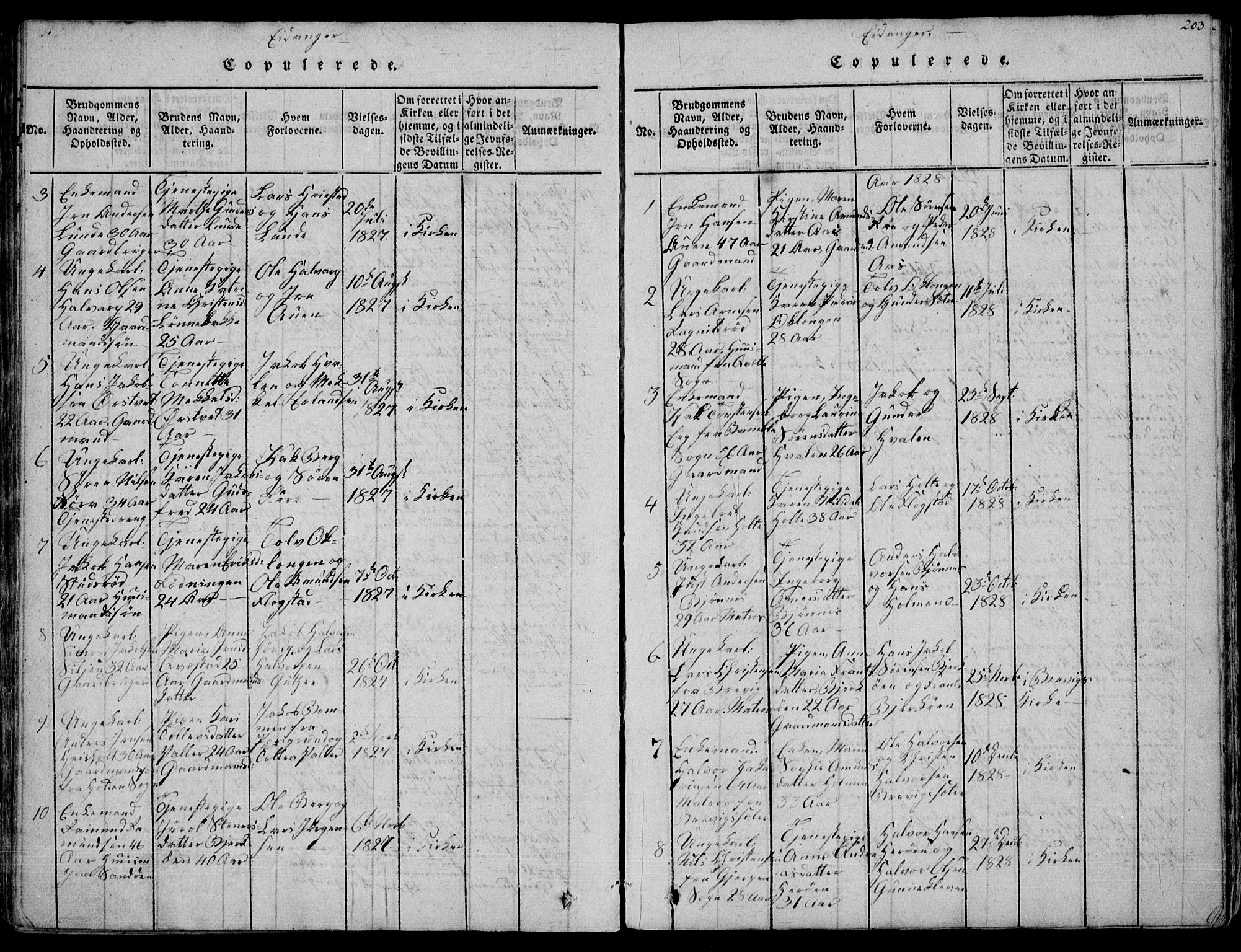 Eidanger kirkebøker, AV/SAKO-A-261/F/Fa/L0007: Ministerialbok nr. 7, 1814-1831, s. 203