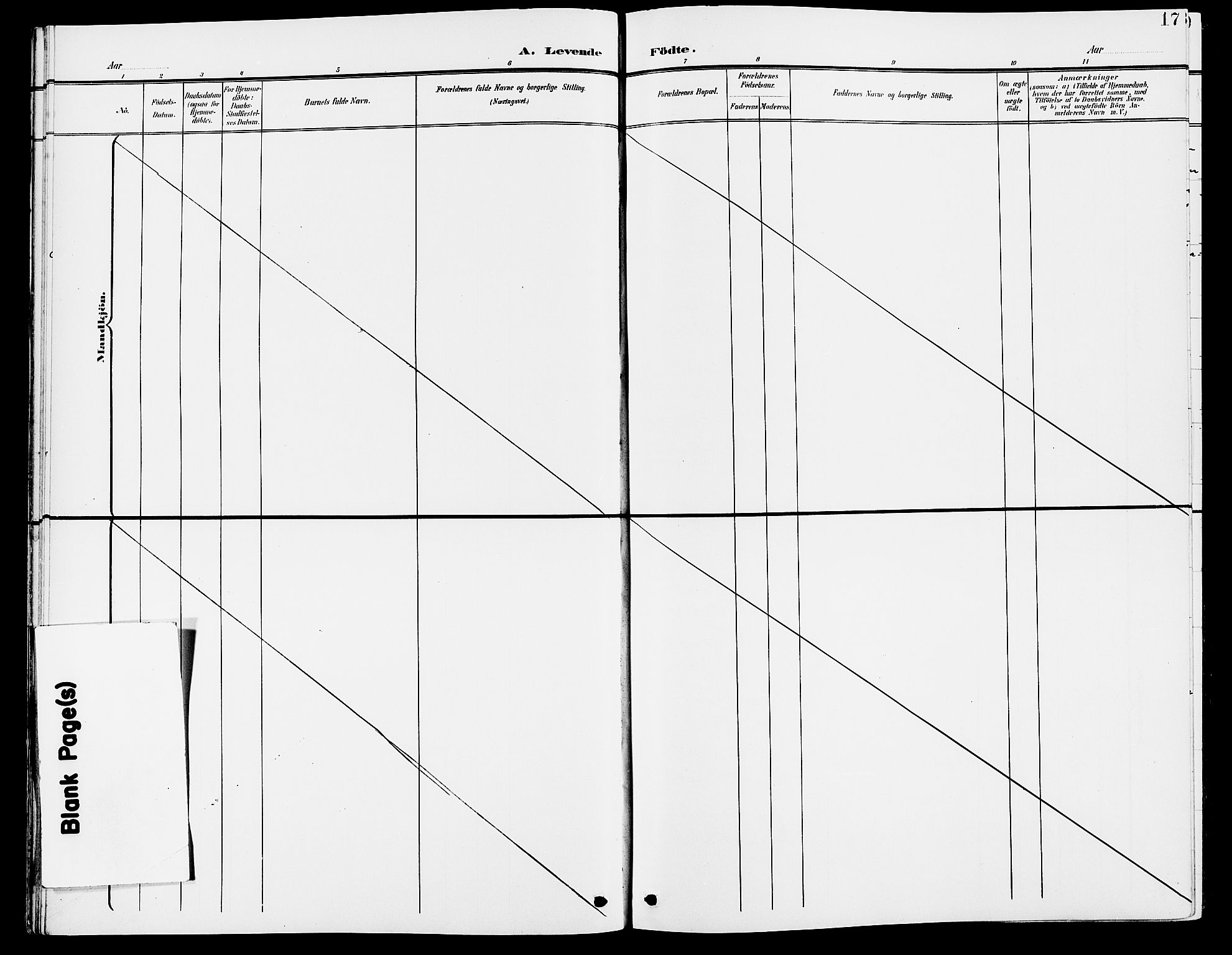 Grue prestekontor, SAH/PREST-036/H/Ha/Hab/L0005: Klokkerbok nr. 5, 1900-1909, s. 17