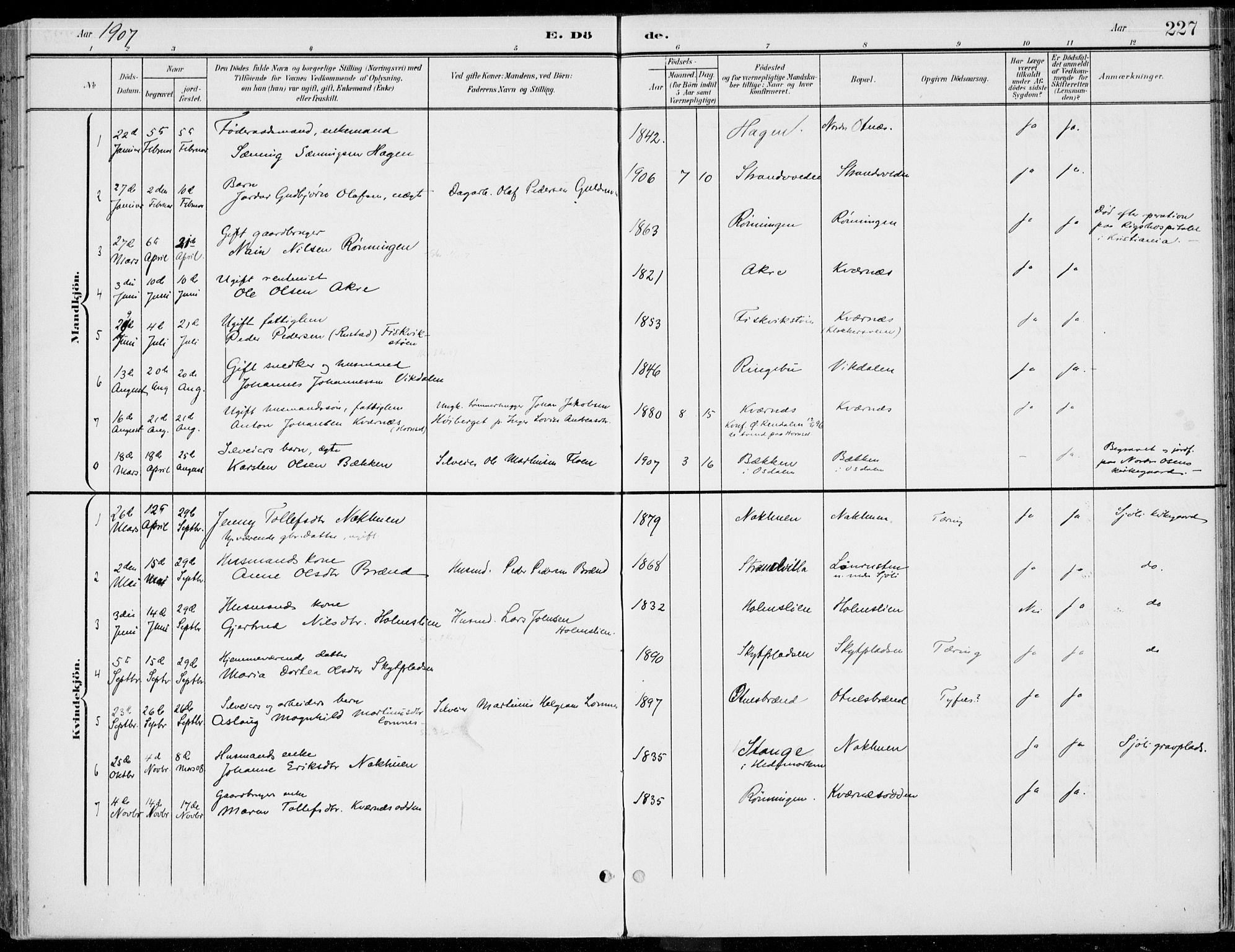 Rendalen prestekontor, AV/SAH-PREST-054/H/Ha/Haa/L0011: Ministerialbok nr. 11, 1901-1925, s. 227