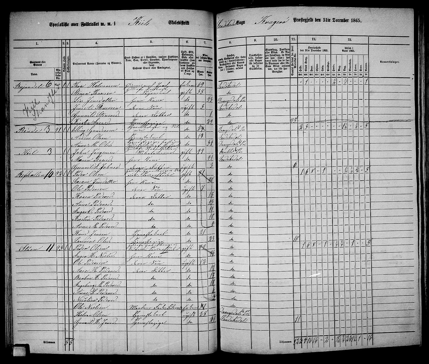 RA, Folketelling 1865 for 0816L Kragerø prestegjeld, Sannidal sokn og Skåtøy sokn, 1865, s. 55