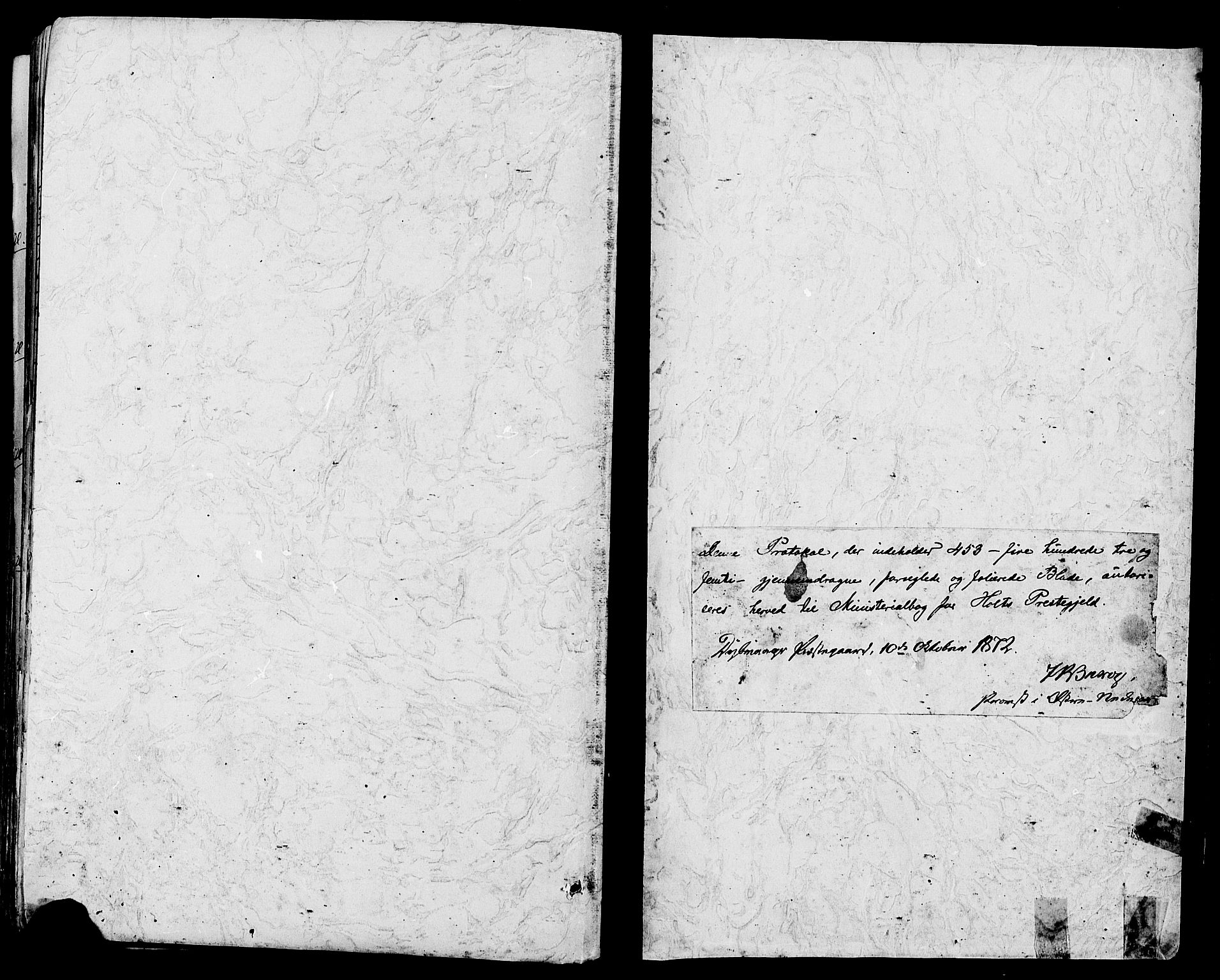 Holt sokneprestkontor, SAK/1111-0021/F/Fa/L0010: Ministerialbok nr. A 10, 1872-1885