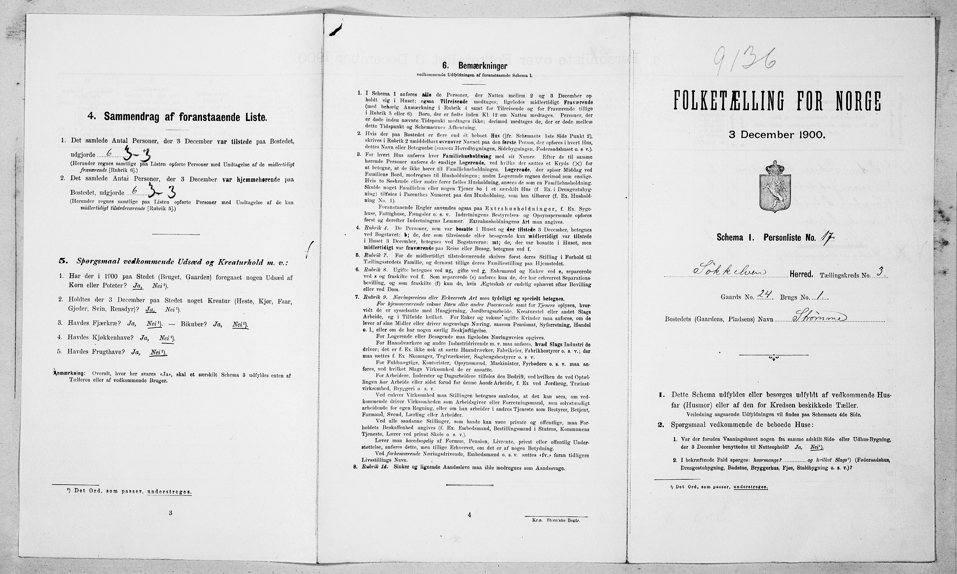 SAT, Folketelling 1900 for 1528 Sykkylven herred, 1900, s. 399
