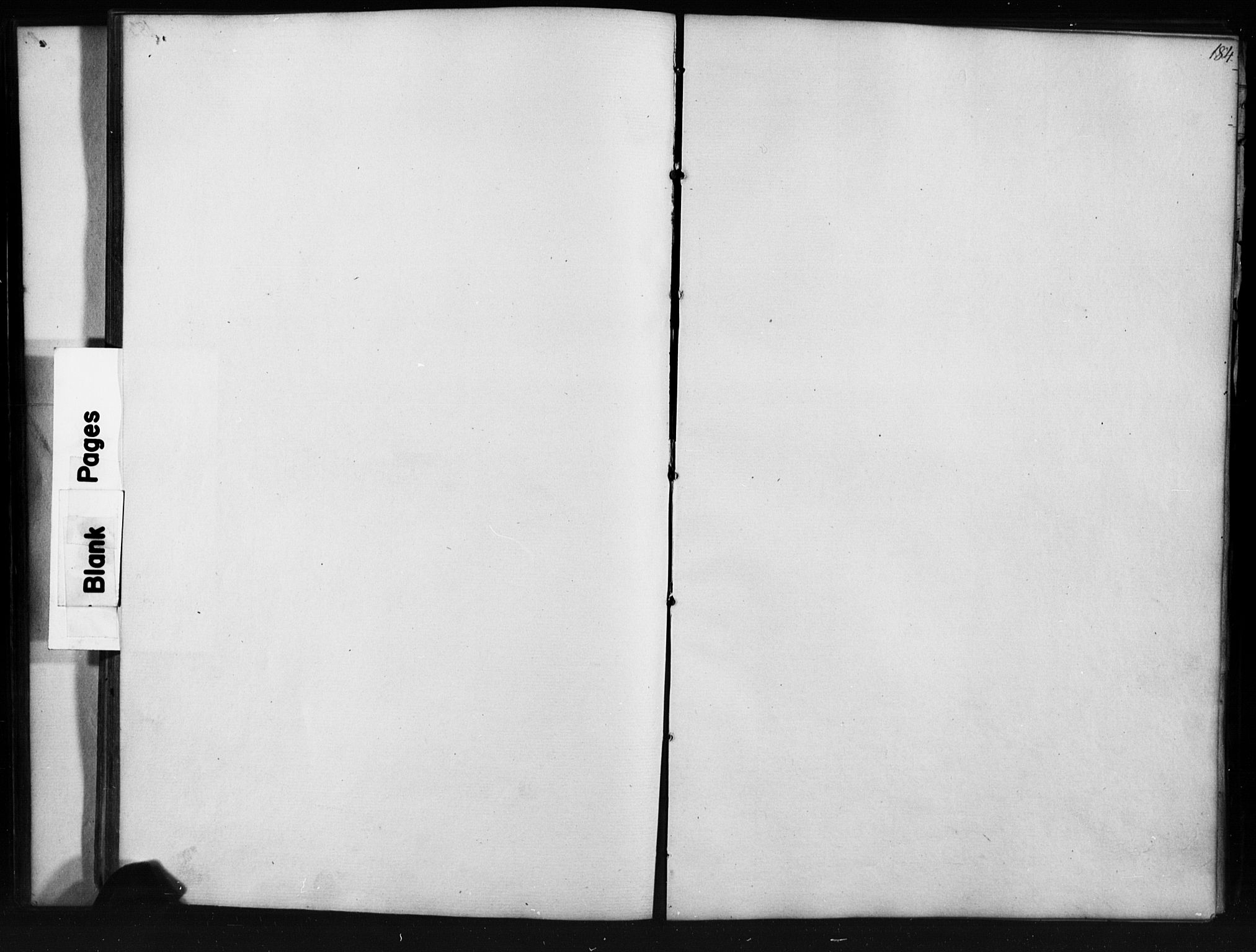 Skjåk prestekontor, AV/SAH-PREST-072/H/Ha/Hab/L0001: Klokkerbok nr. 1, 1865-1893, s. 184