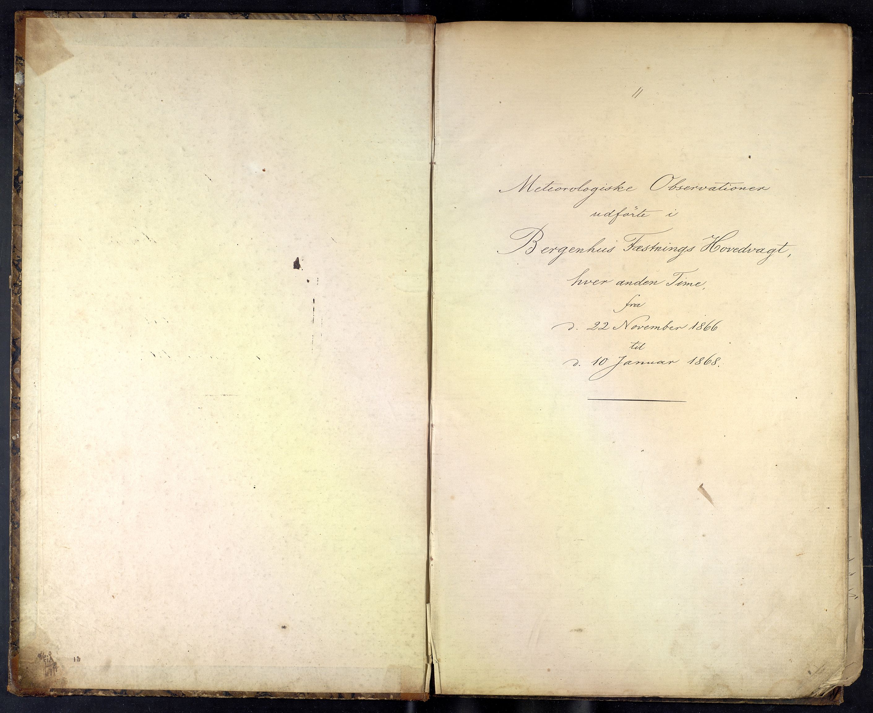 Lepraarkiver - Lungegaardshospitalet, SAB/A-60501/E/Ea/L0004: Observasjoner, 1866-1868