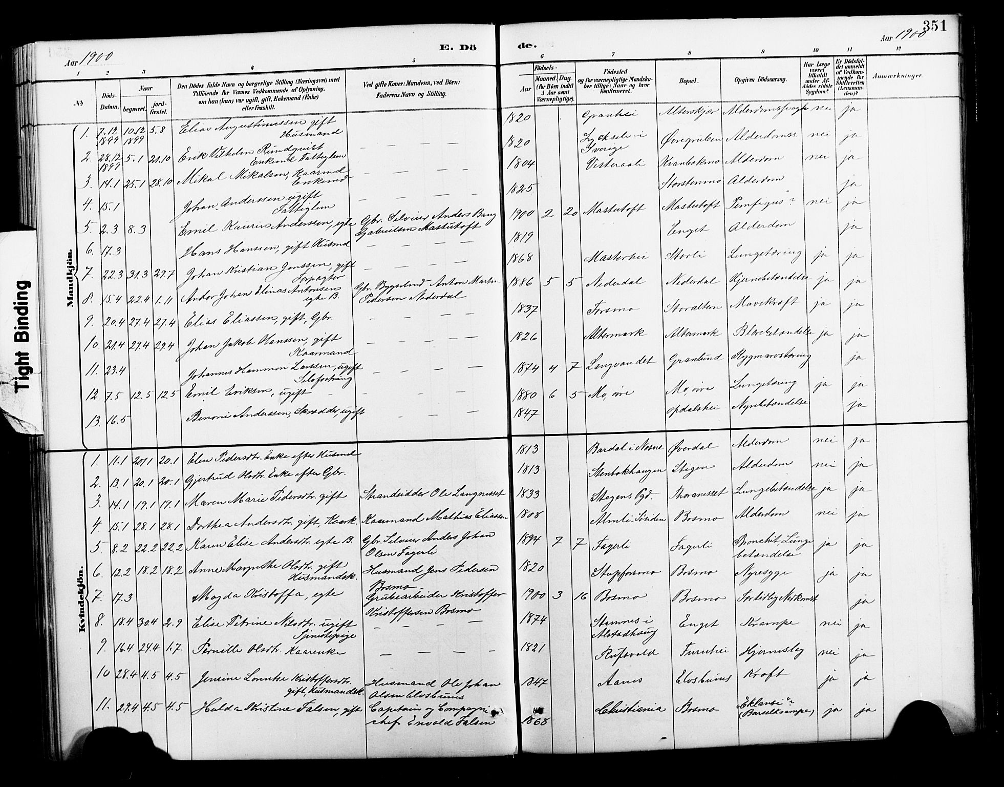 Ministerialprotokoller, klokkerbøker og fødselsregistre - Nordland, SAT/A-1459/827/L0421: Klokkerbok nr. 827C10, 1887-1906, s. 351