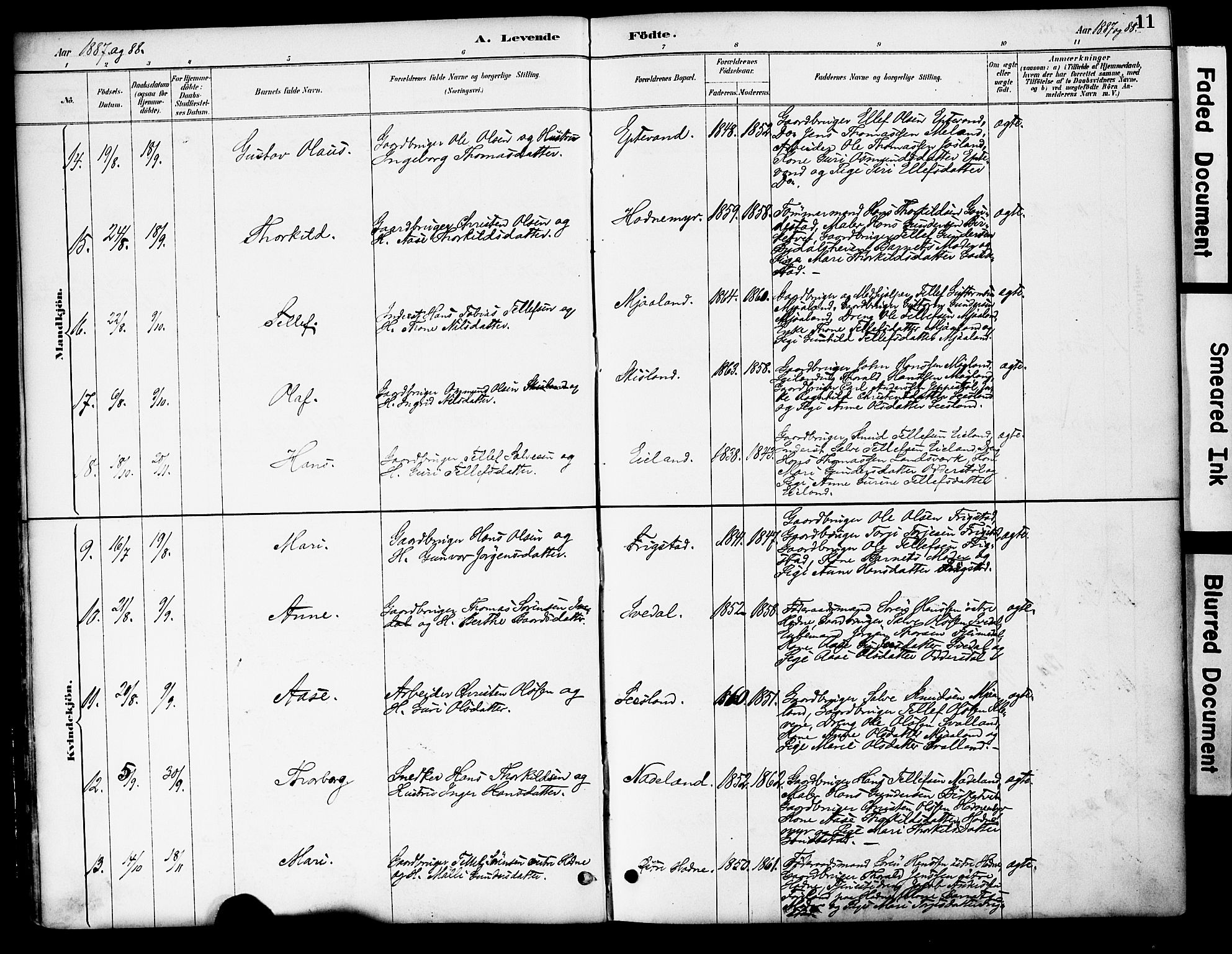 Evje sokneprestkontor, AV/SAK-1111-0008/F/Fa/Fac/L0003: Ministerialbok nr. A 3, 1884-1909, s. 11