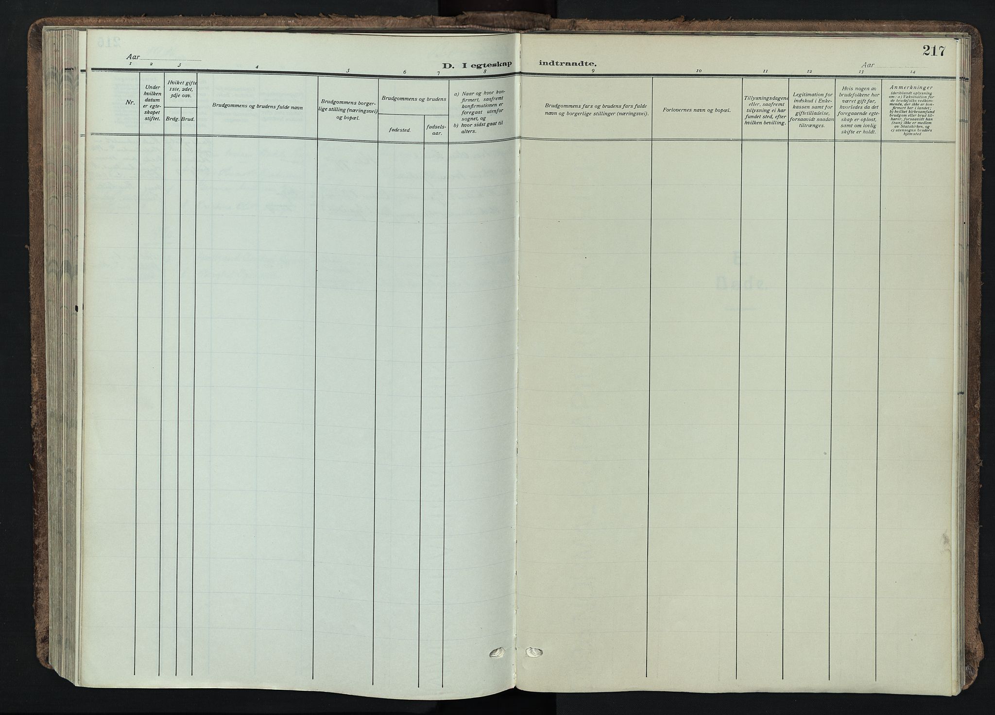 Tynset prestekontor, AV/SAH-PREST-058/H/Ha/Haa/L0026: Ministerialbok nr. 26, 1915-1929, s. 217