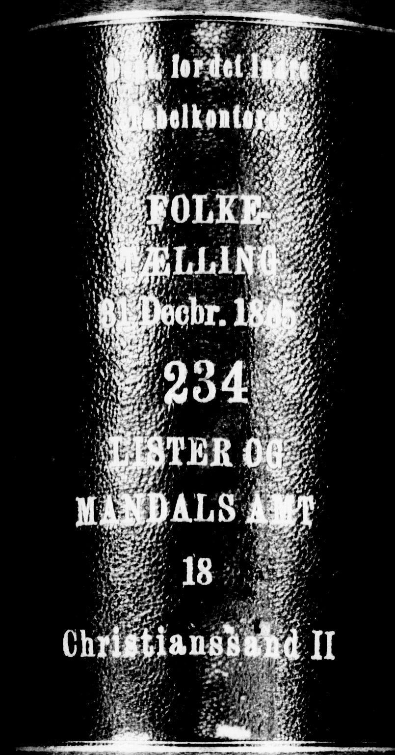 RA, Folketelling 1865 for 1001P Kristiansand prestegjeld, 1865, s. 520
