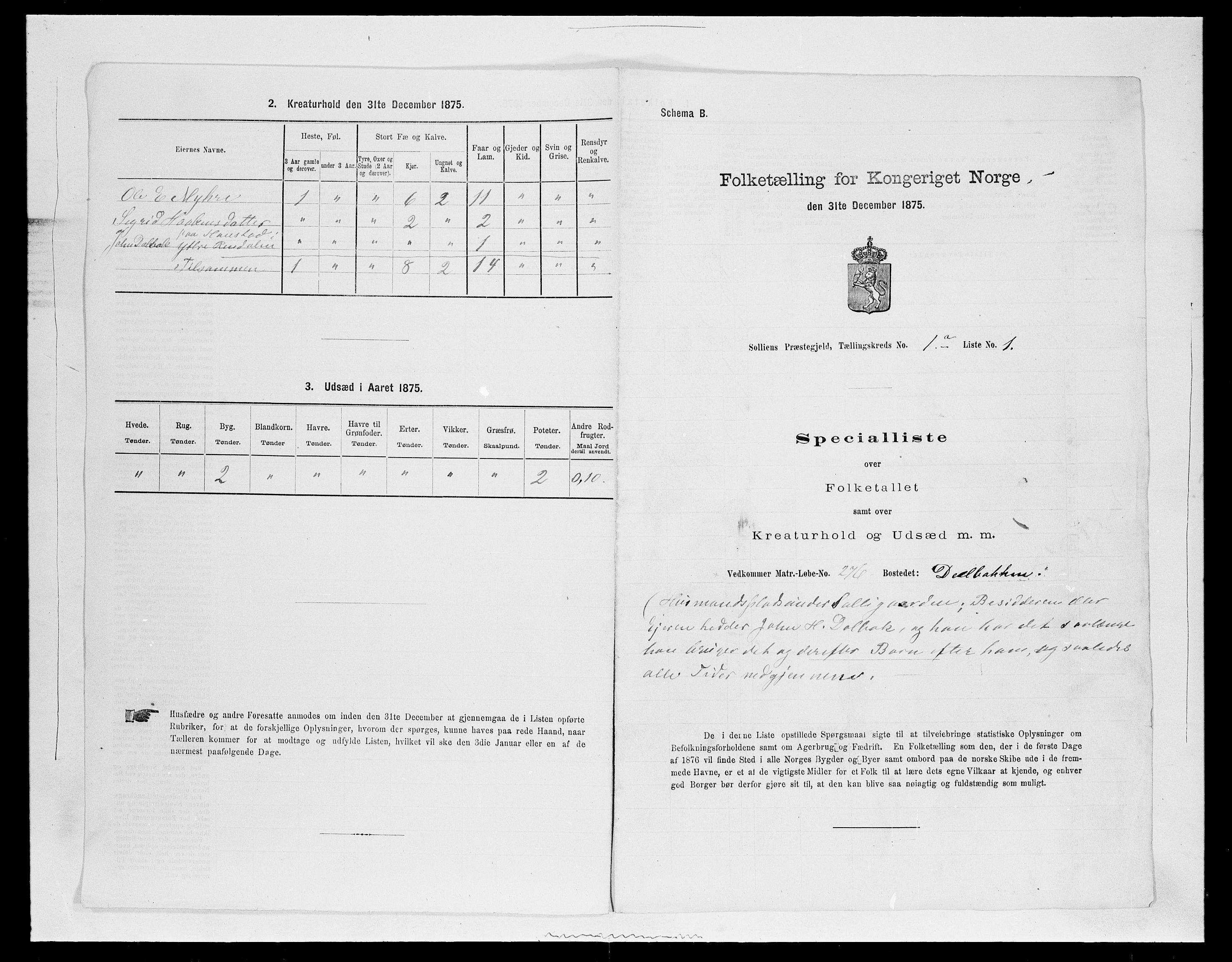 SAH, Folketelling 1875 for 0431P Sollia prestegjeld, 1875, s. 23