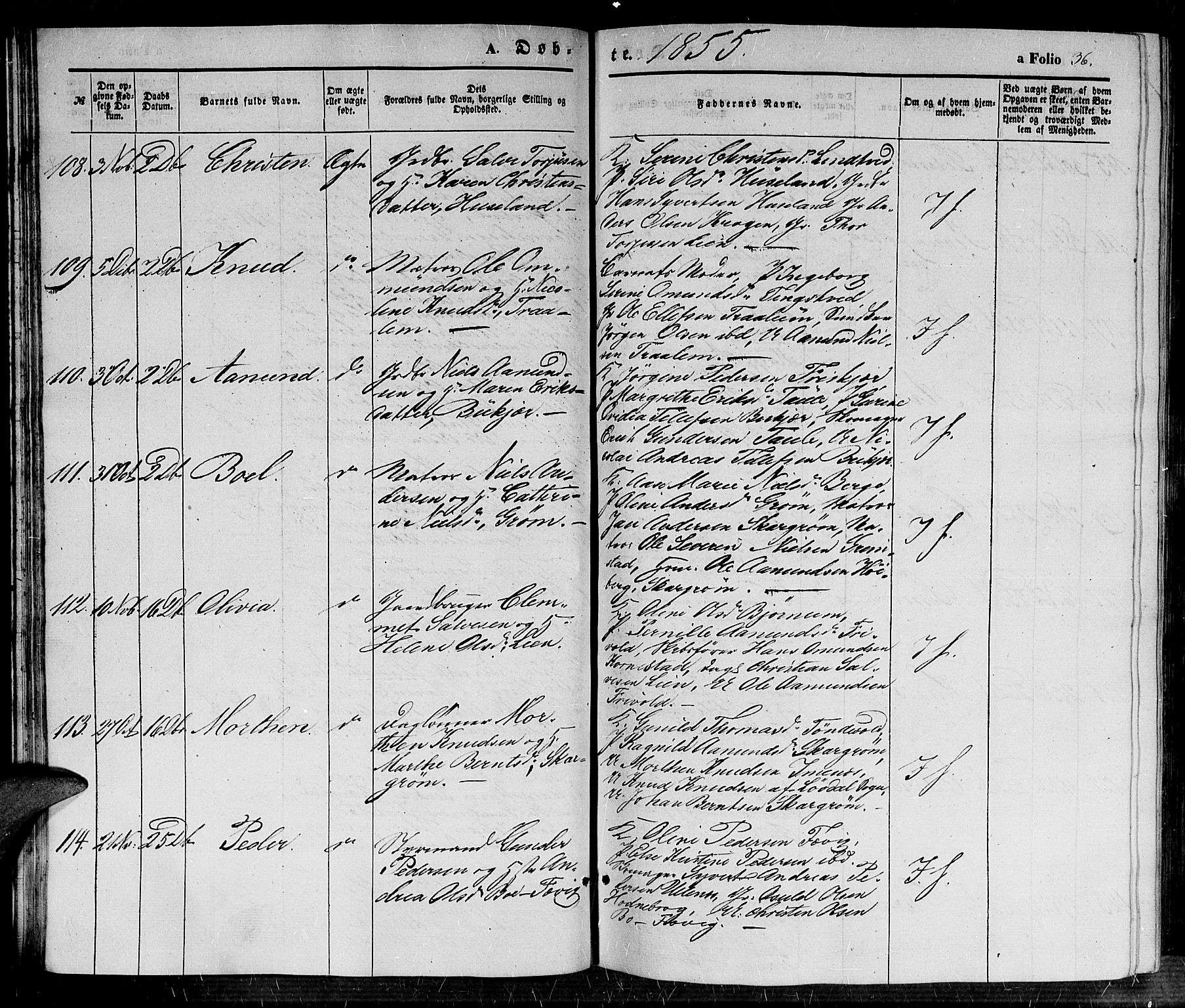 Fjære sokneprestkontor, AV/SAK-1111-0011/F/Fb/L0008: Klokkerbok nr. B 8, 1854-1867, s. 36