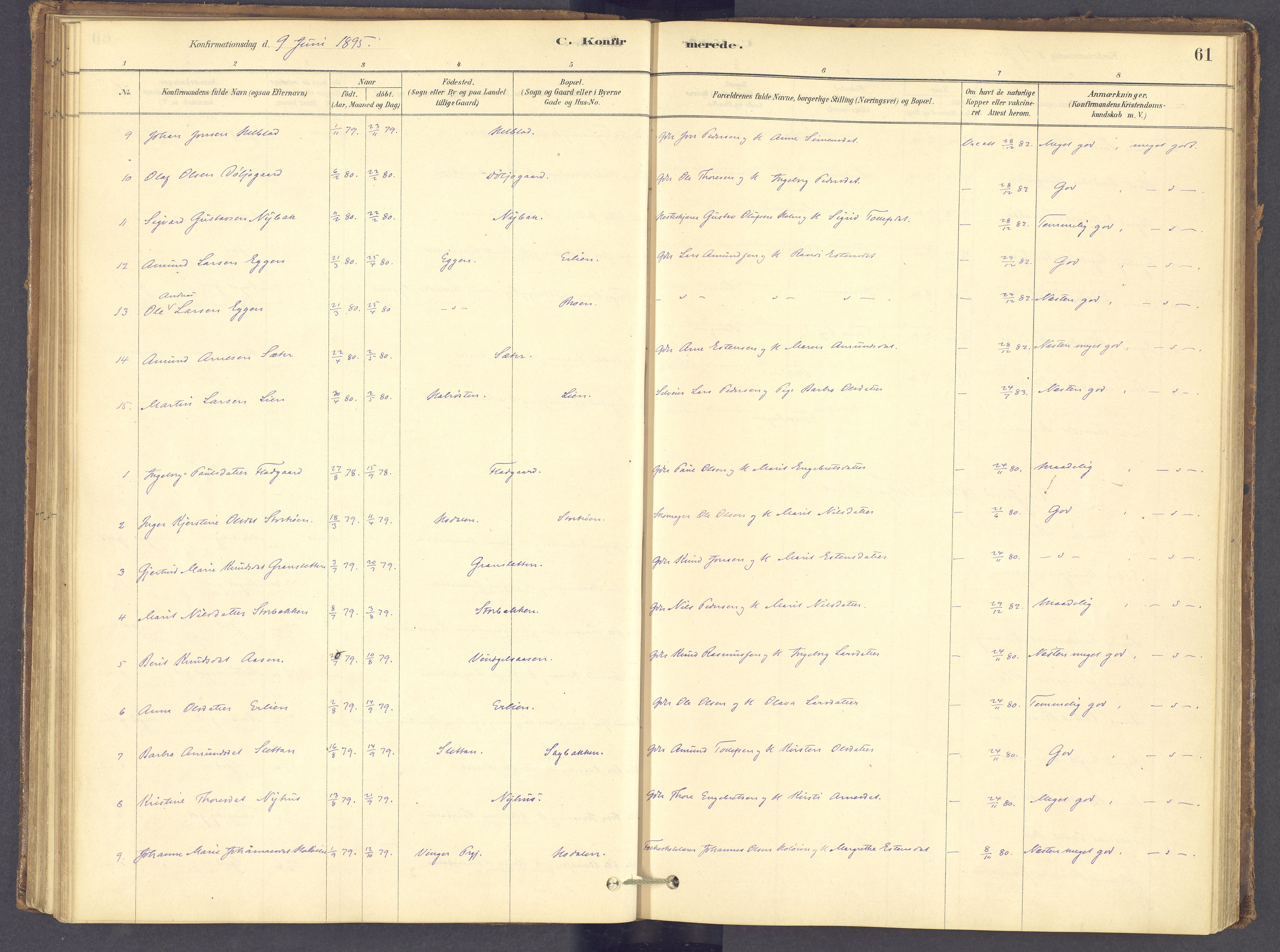 Tolga prestekontor, AV/SAH-PREST-062/K/L0012: Ministerialbok nr. 12, 1877-1925, s. 61