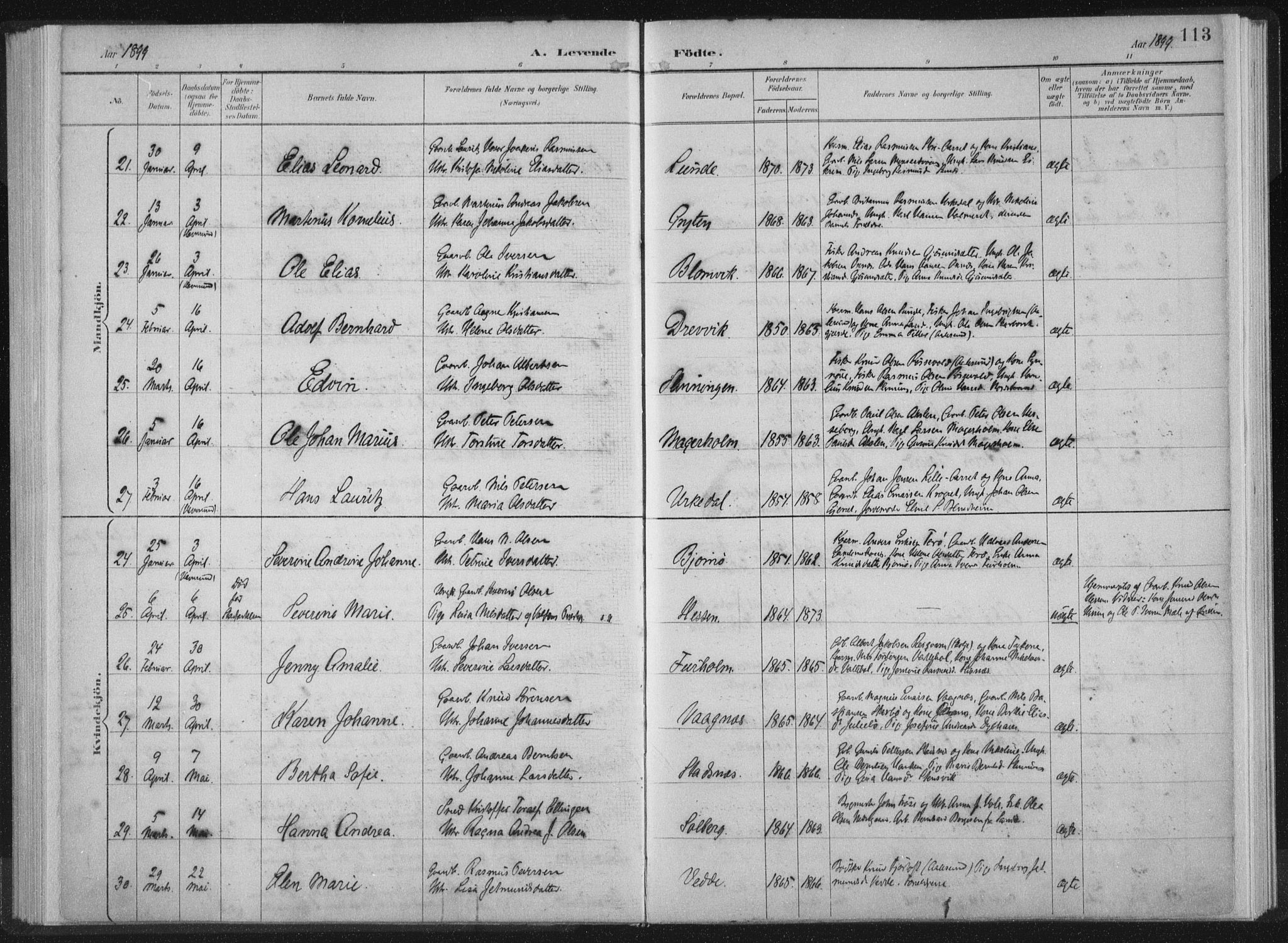 Ministerialprotokoller, klokkerbøker og fødselsregistre - Møre og Romsdal, AV/SAT-A-1454/528/L0405: Ministerialbok nr. 528A14, 1891-1906, s. 113