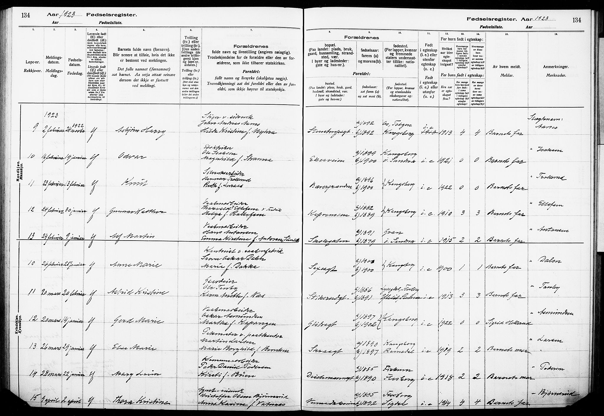 Kongsberg kirkebøker, AV/SAKO-A-22/J/Ja/L0001: Fødselsregister nr. I 1, 1916-1927, s. 134