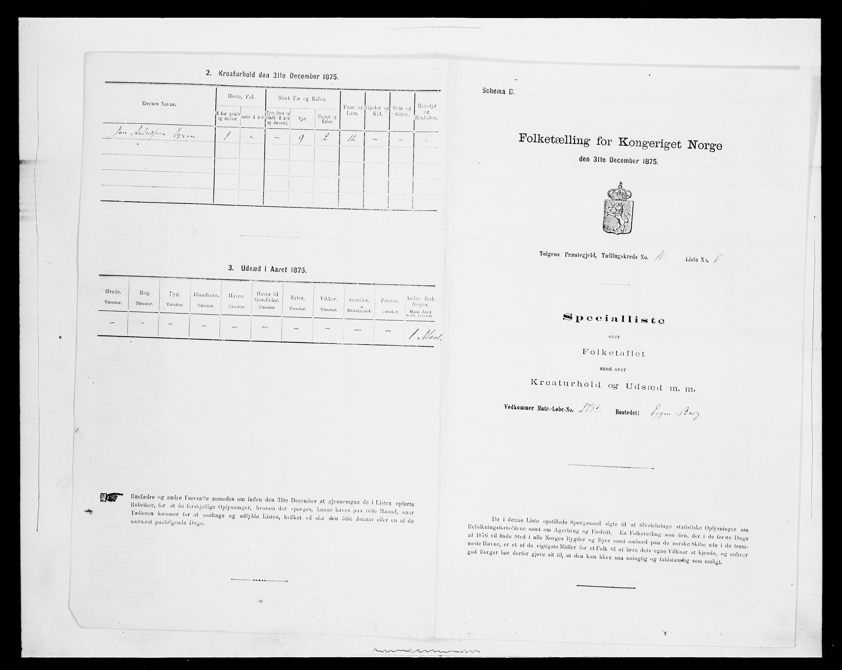 SAH, Folketelling 1875 for 0436P Tolga prestegjeld, 1875, s. 1008