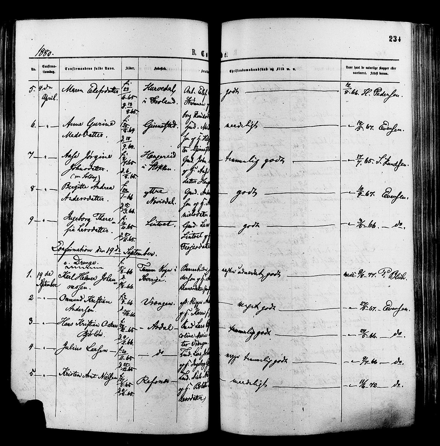 Øyestad sokneprestkontor, AV/SAK-1111-0049/F/Fa/L0016: Ministerialbok nr. A 16, 1874-1886, s. 234