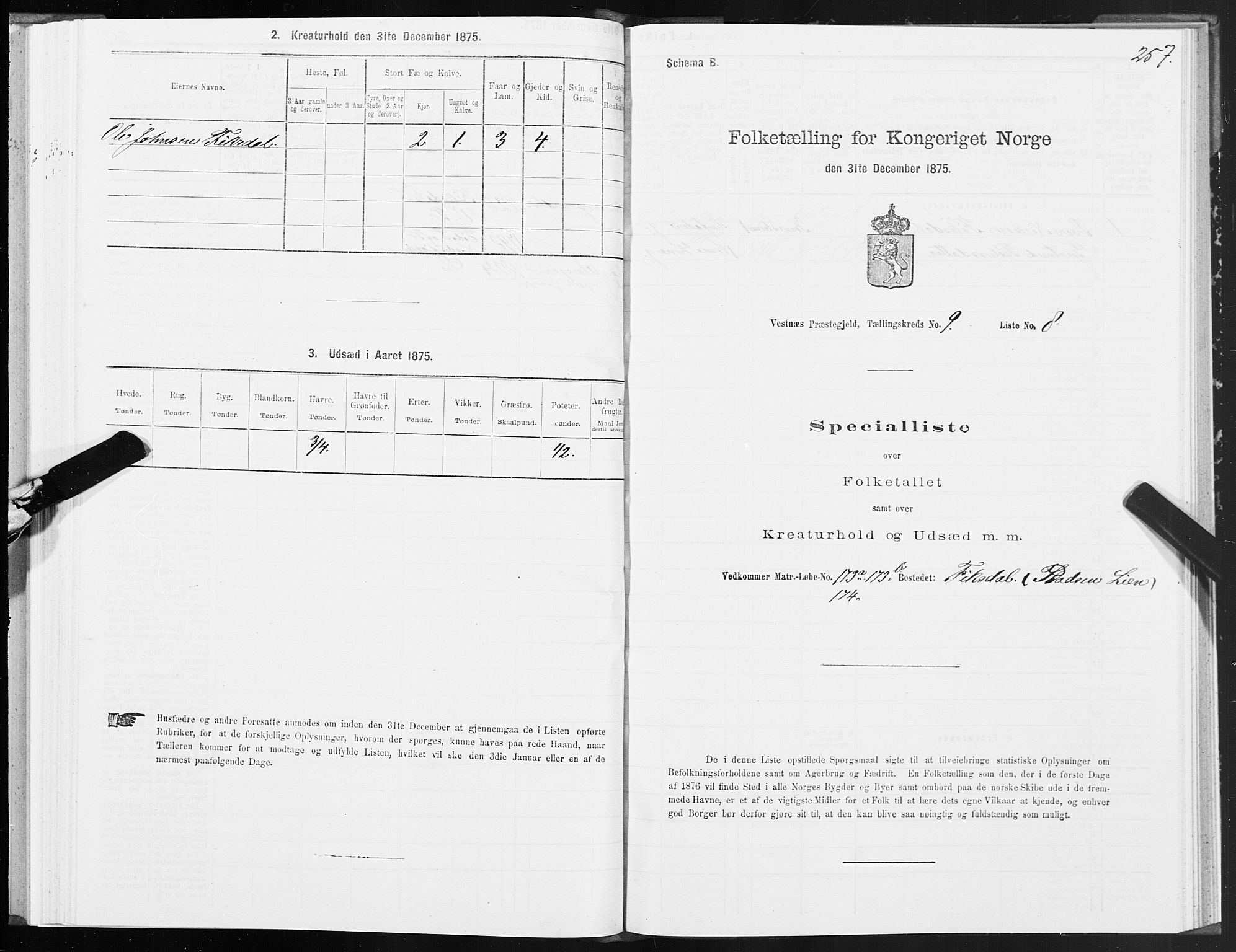 SAT, Folketelling 1875 for 1535P Vestnes prestegjeld, 1875, s. 3257