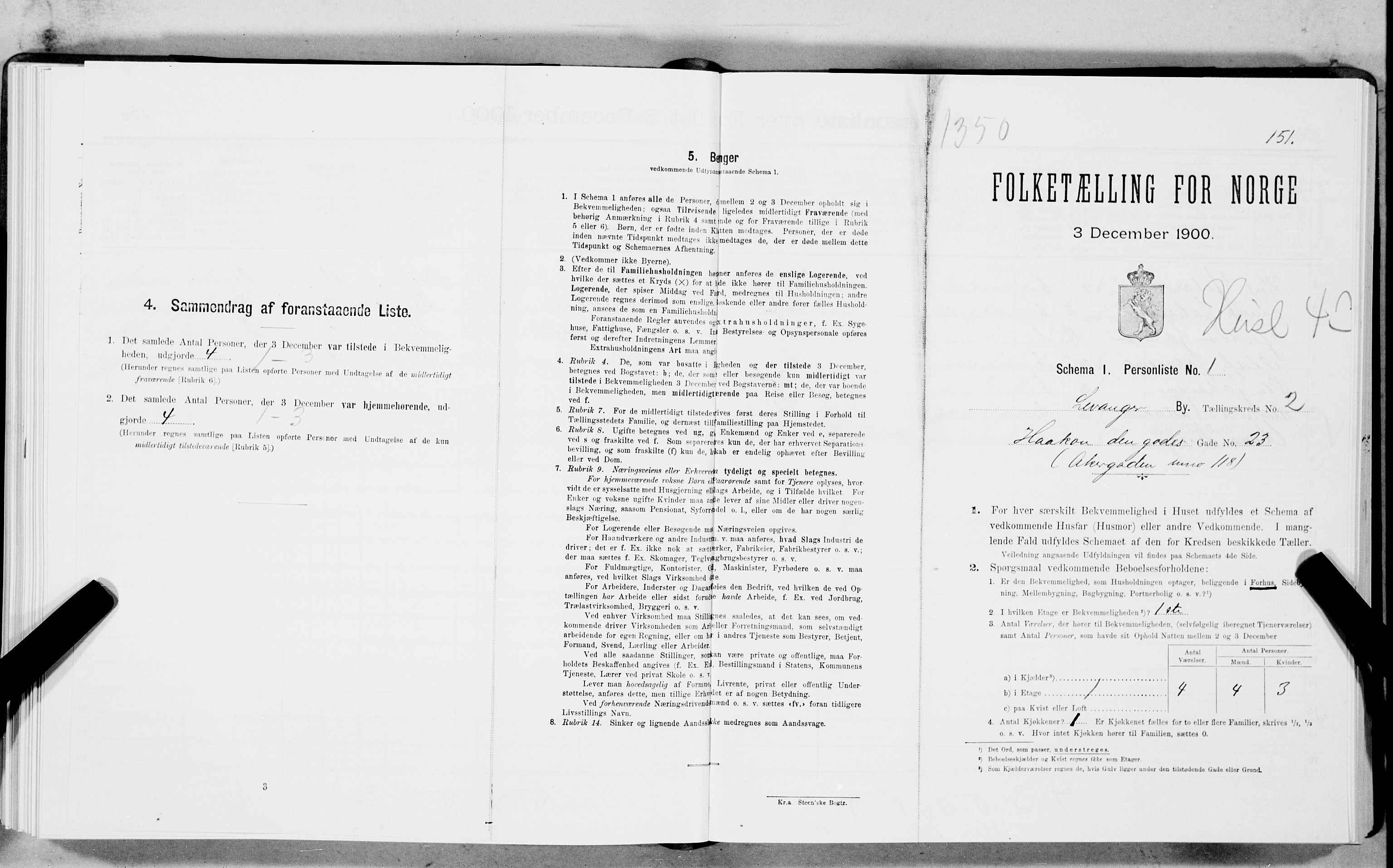 SAT, Folketelling 1900 for 1701 Levanger kjøpstad, 1900, s. 314