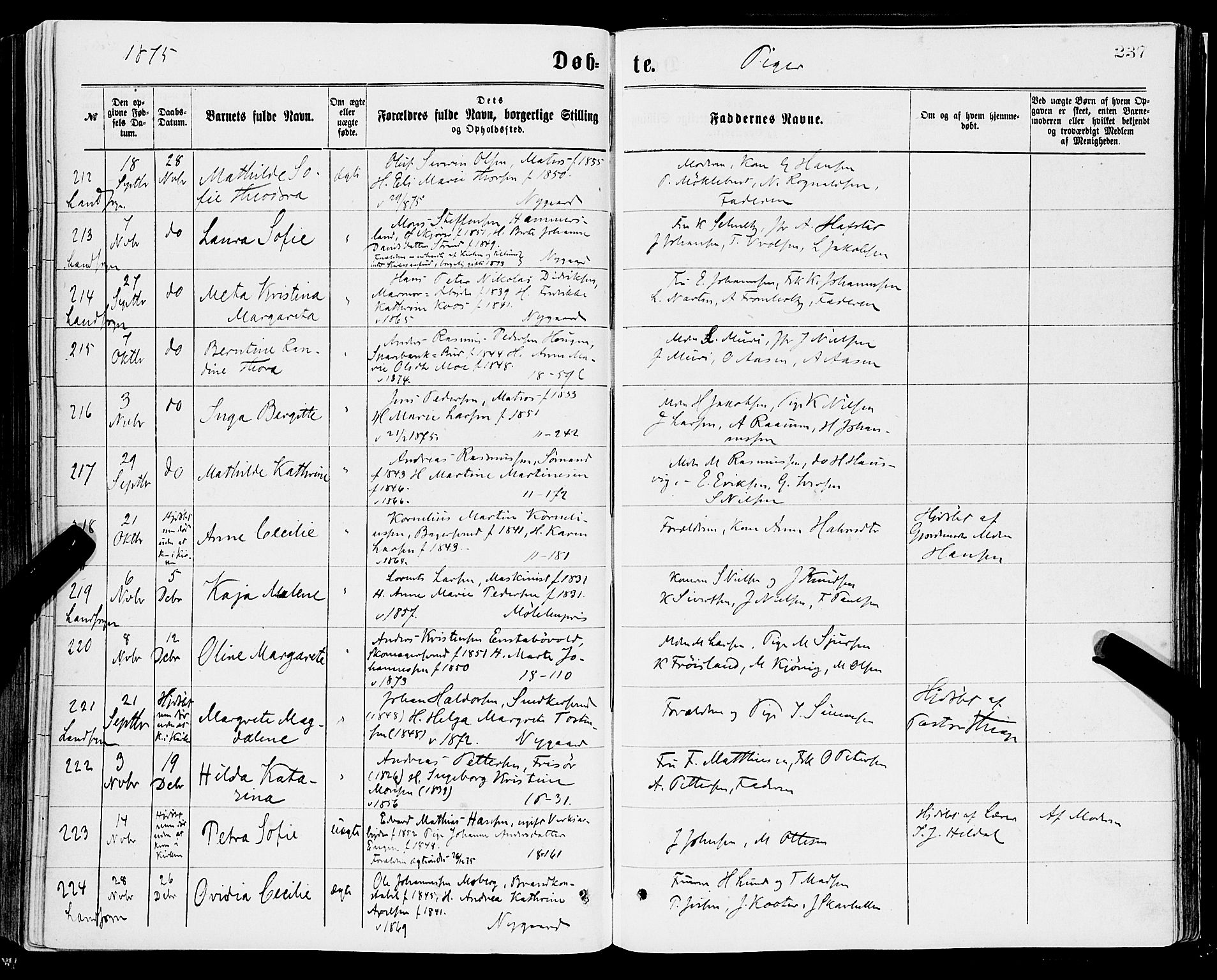 Domkirken sokneprestembete, AV/SAB-A-74801/H/Haa/L0022: Ministerialbok nr. B 5, 1872-1878, s. 237