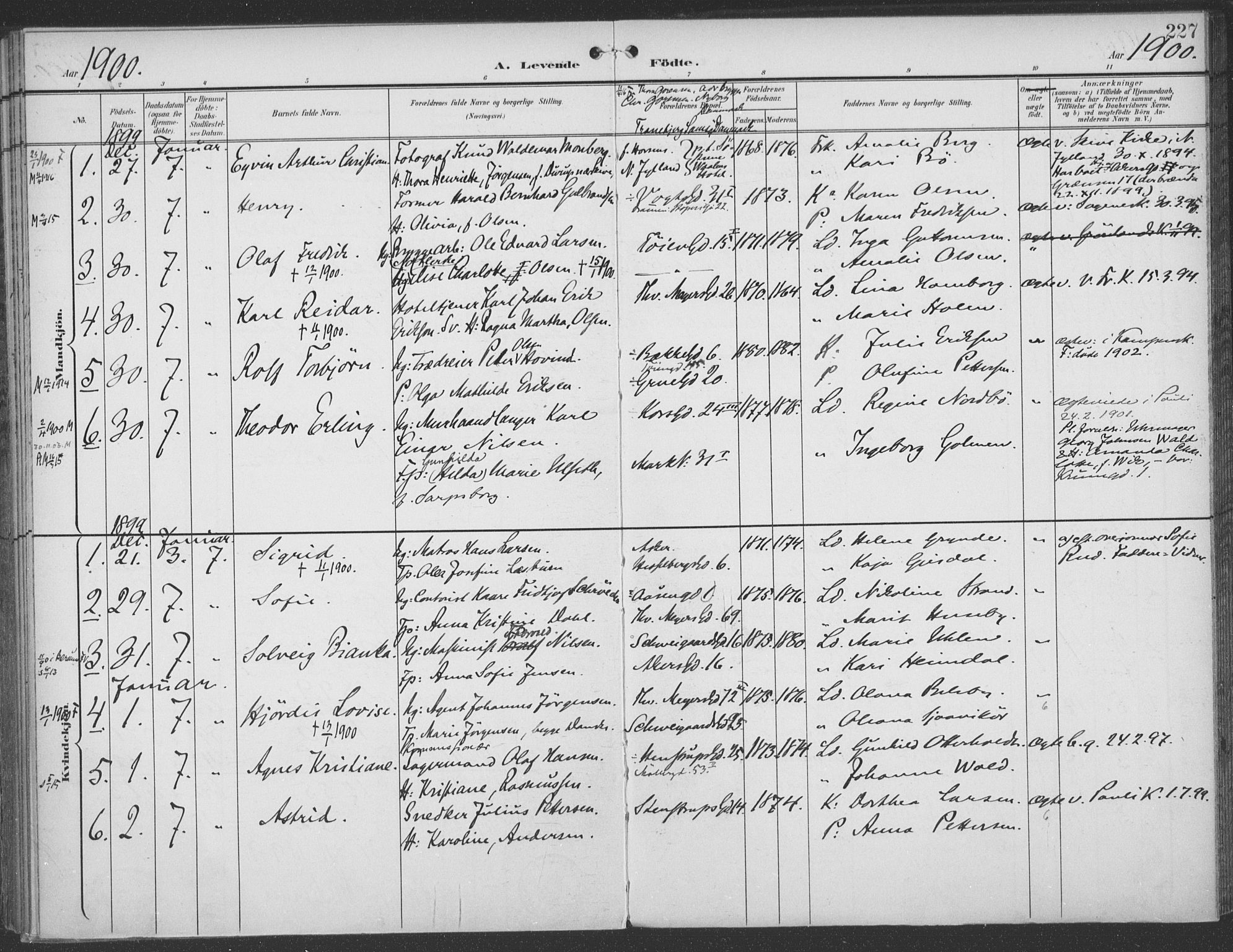 Rikshospitalet prestekontor Kirkebøker, AV/SAO-A-10309b/F/L0011: Ministerialbok nr. 11, 1898-1900, s. 227