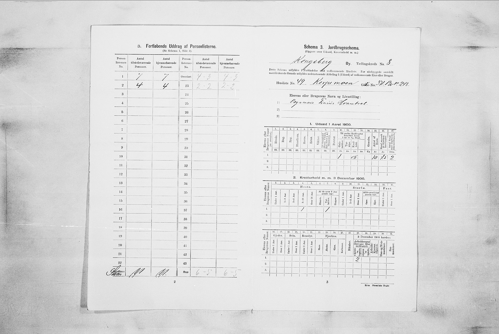 RA, Folketelling 1900 for 0604 Kongsberg kjøpstad, 1900, s. 1675