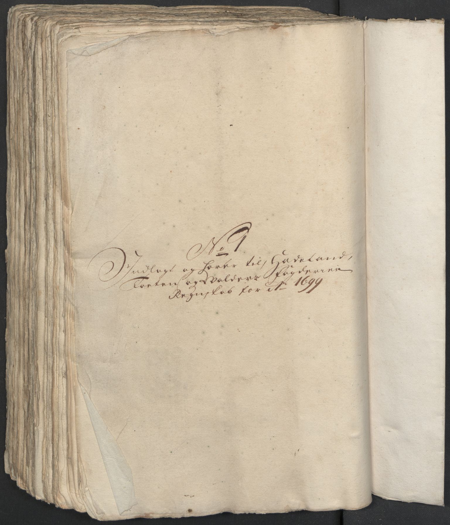 Rentekammeret inntil 1814, Reviderte regnskaper, Fogderegnskap, RA/EA-4092/R18/L1297: Fogderegnskap Hadeland, Toten og Valdres, 1699, s. 262