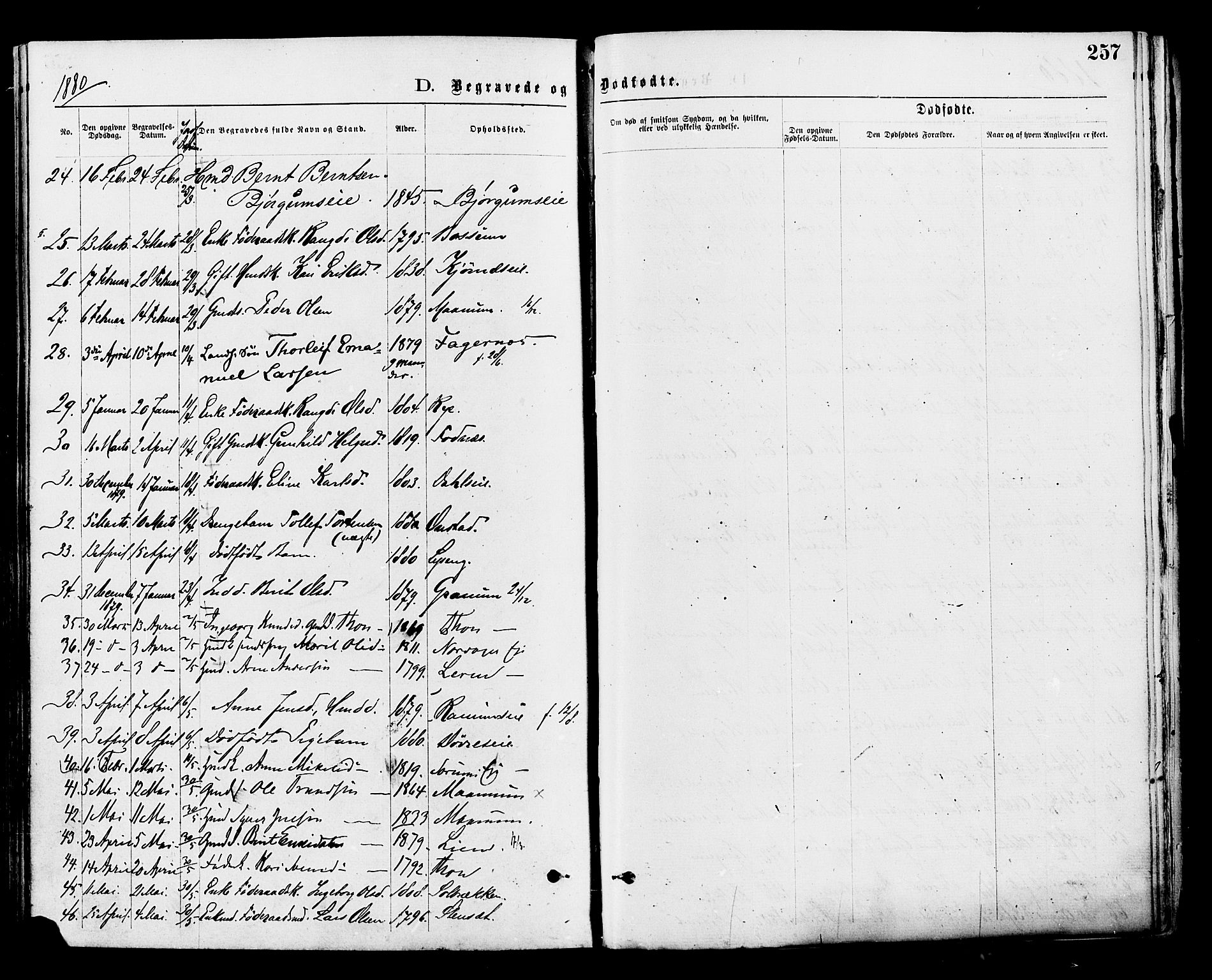 Nord-Aurdal prestekontor, AV/SAH-PREST-132/H/Ha/Haa/L0009: Ministerialbok nr. 9, 1876-1882, s. 257