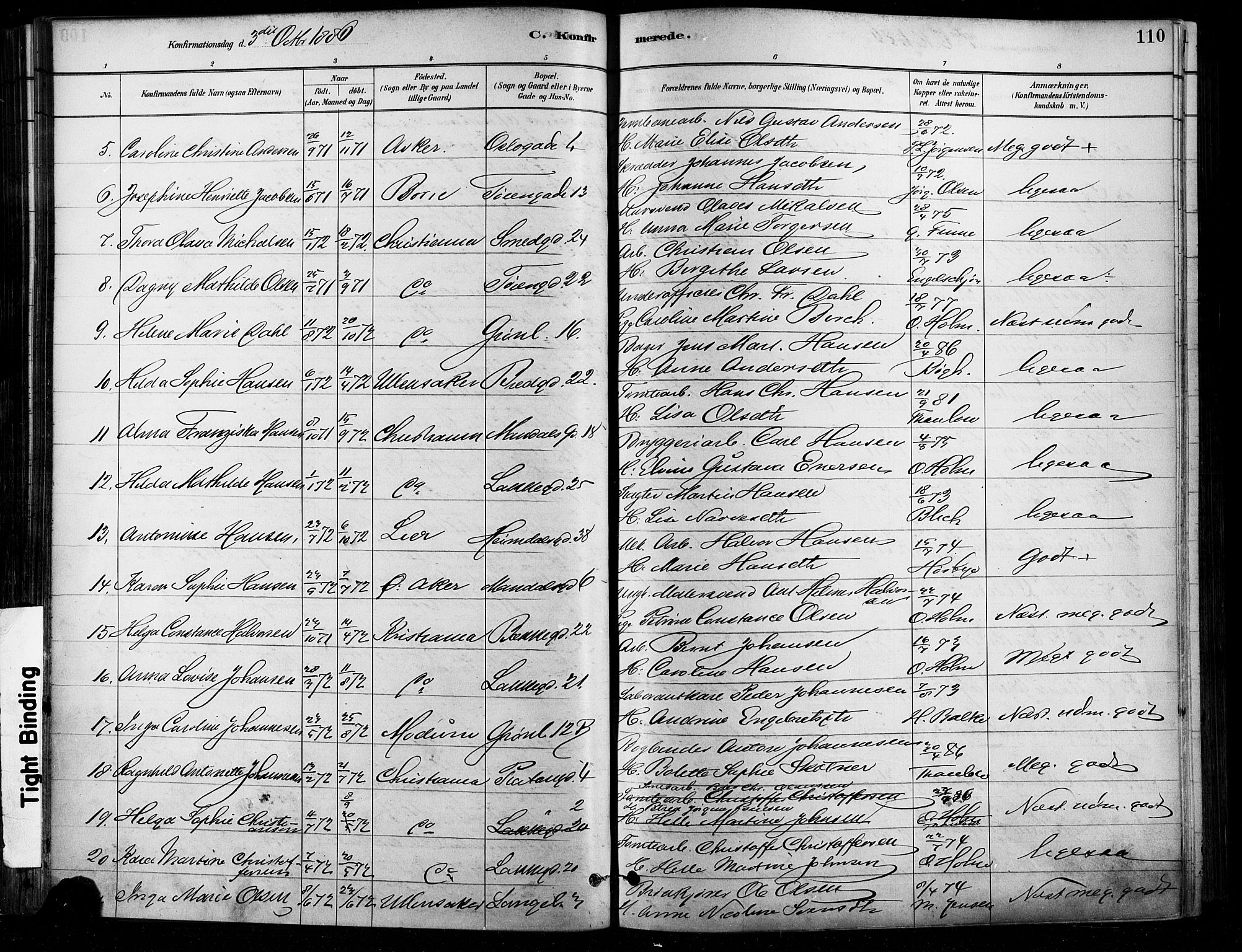 Grønland prestekontor Kirkebøker, AV/SAO-A-10848/F/Fa/L0008: Ministerialbok nr. 8, 1881-1893, s. 110