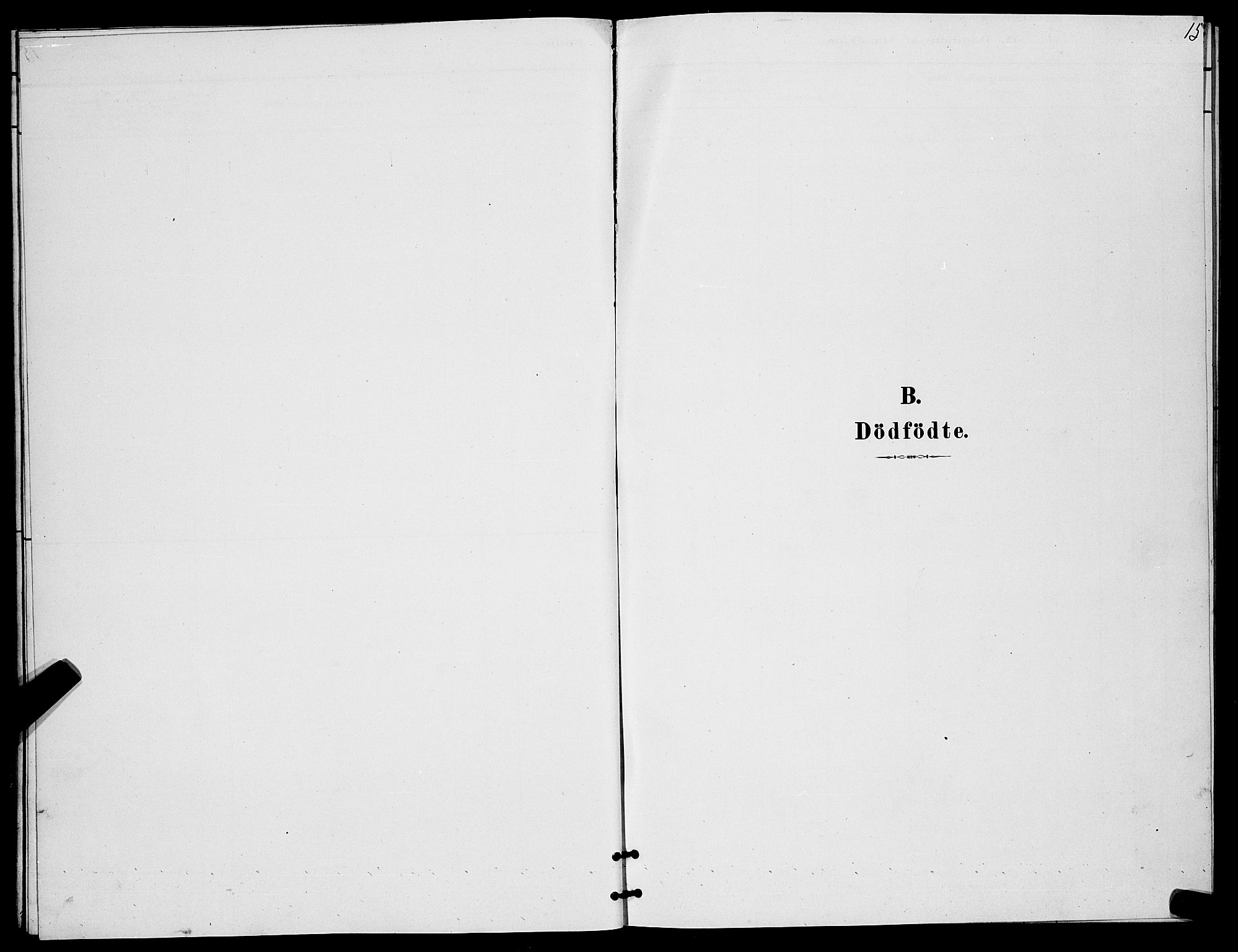 Berg sokneprestkontor, AV/SATØ-S-1318/G/Ga/Gab/L0017klokker: Klokkerbok nr. 17, 1881-1887, s. 15